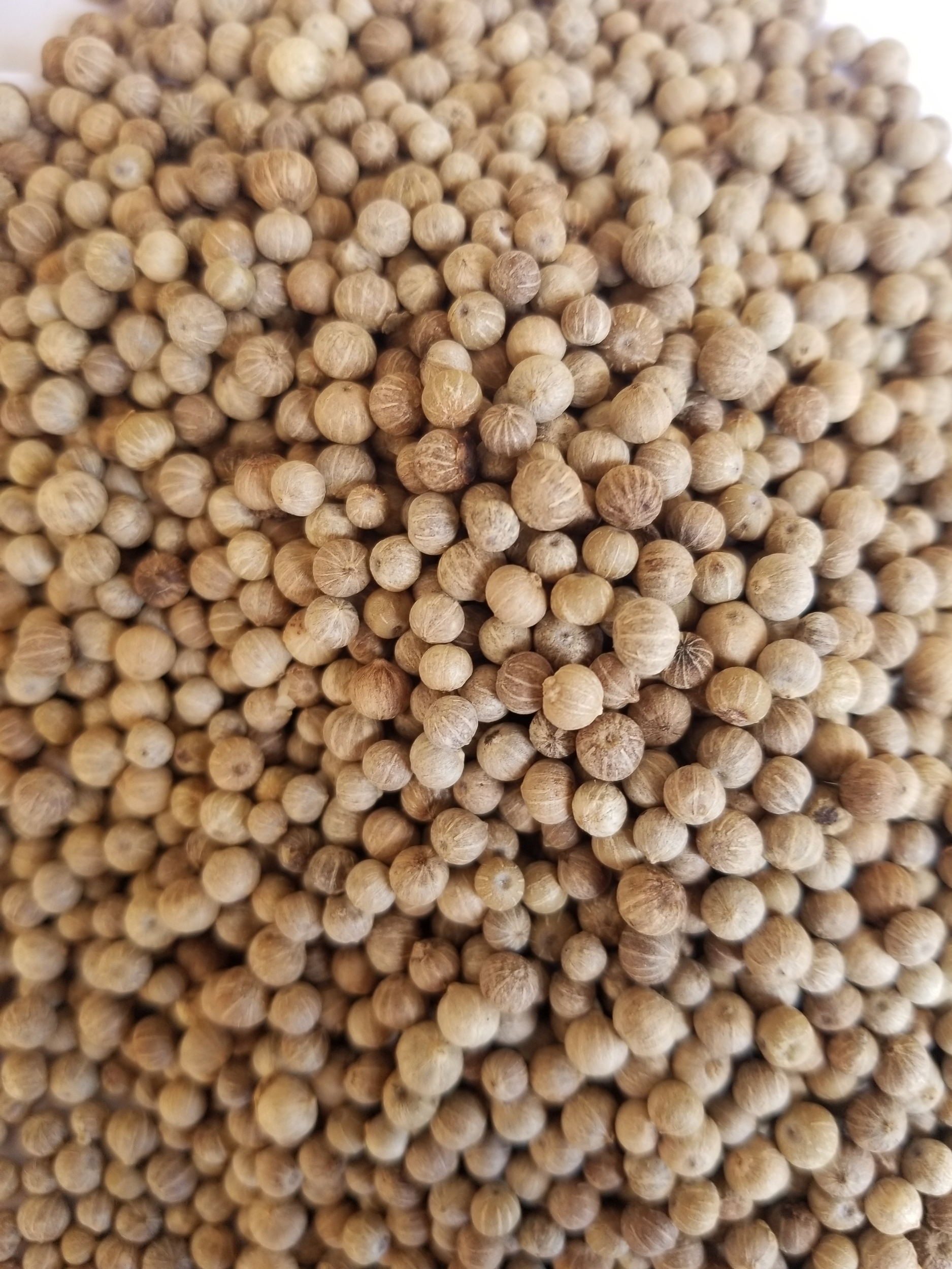 100 gr de poivre blanc kampot de Cambodge