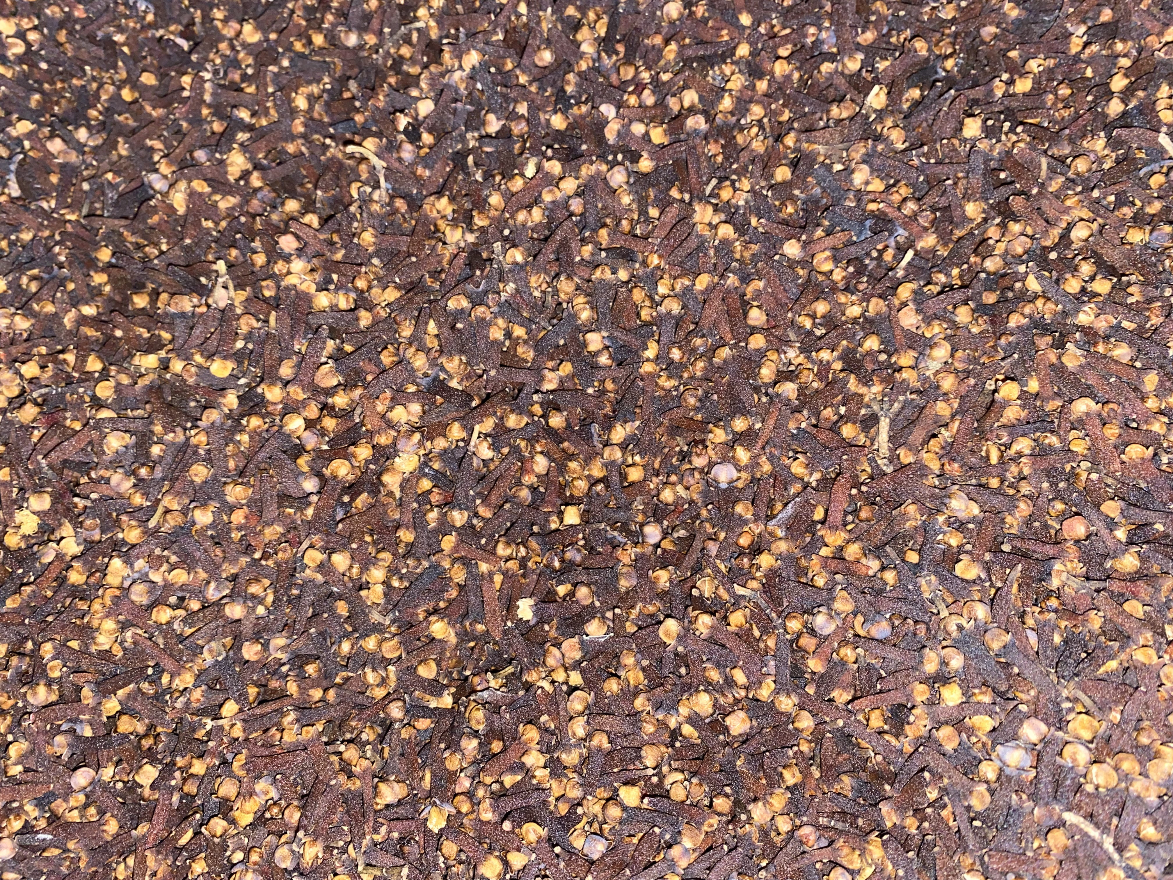 100 gr de clou de girofle naturel de la production familiale de Madagascar