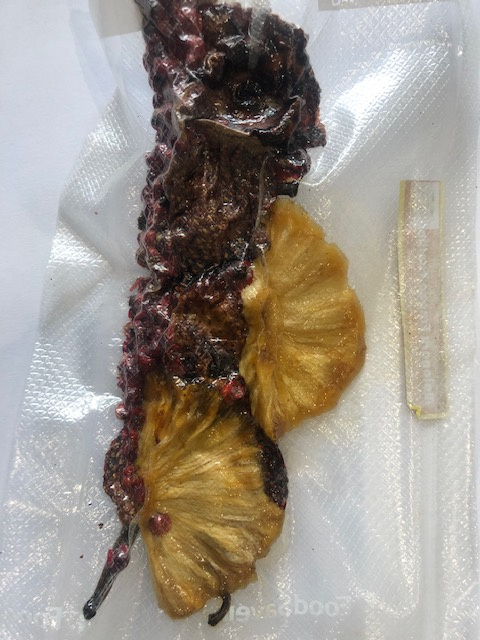 1 sachet de kit pour la préparation de rhum arrangé maison ananas-fraises