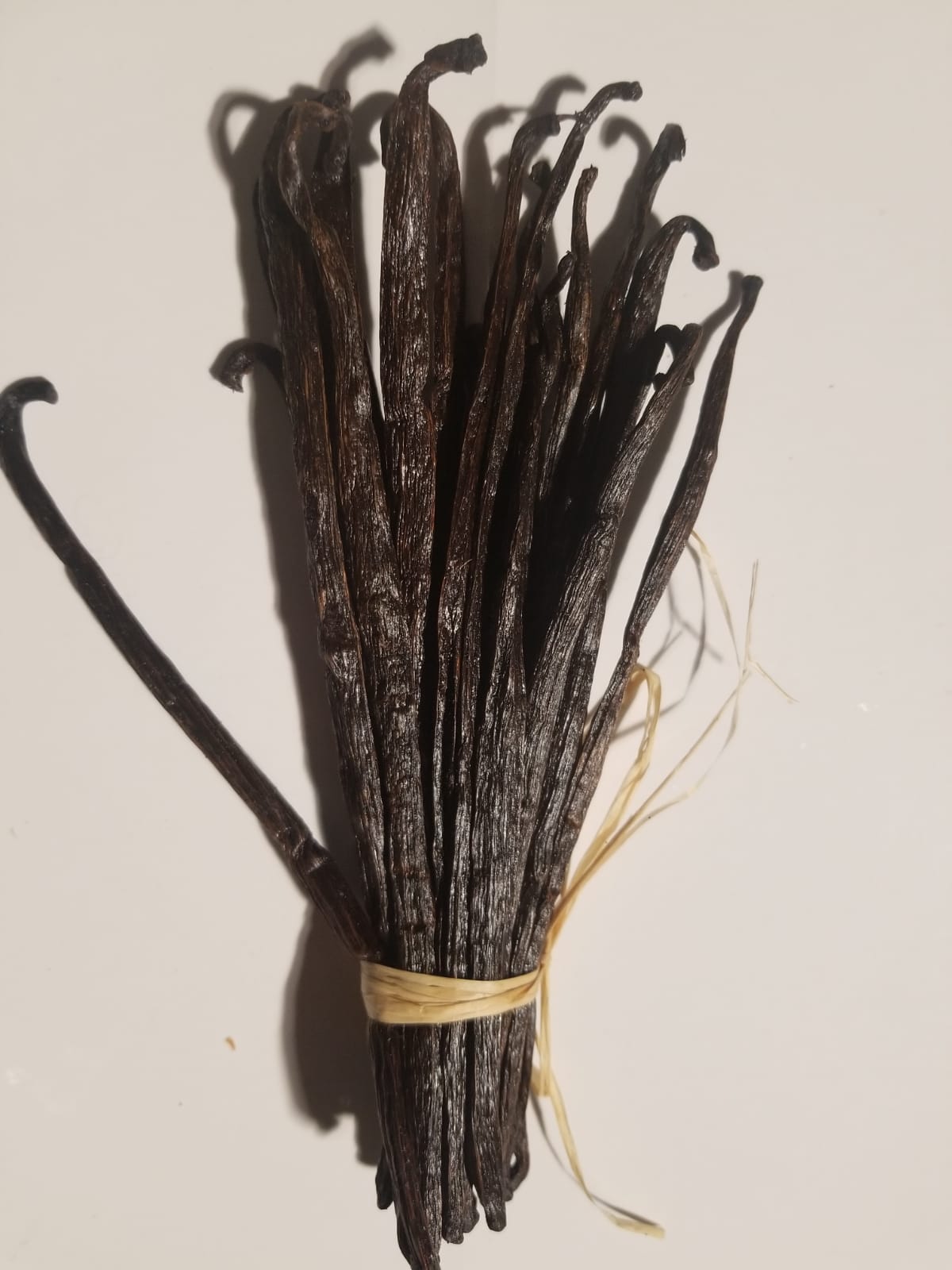 20 gousses de vanille TK non fendues 14/16 cm de Madagascar
