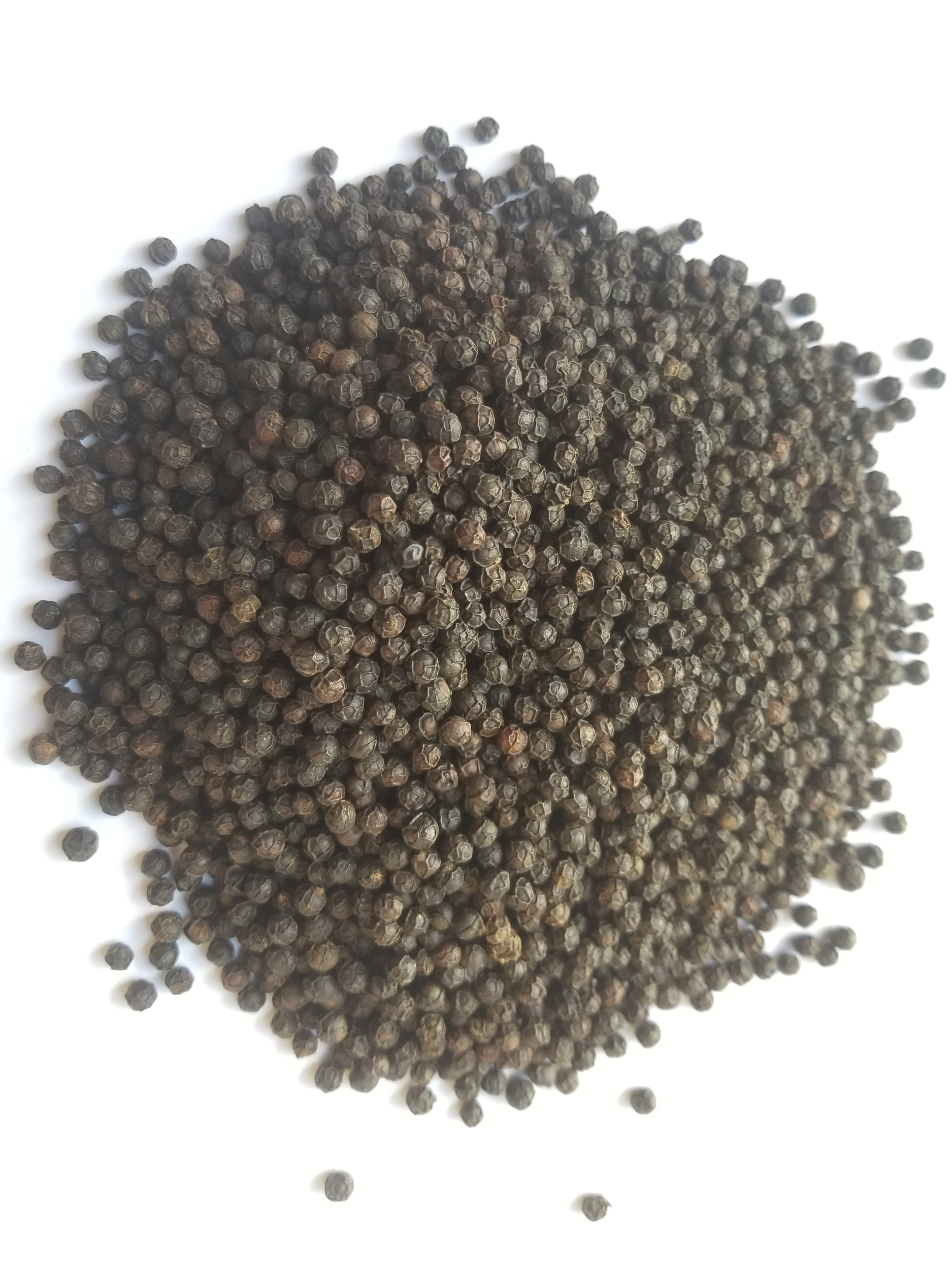100 gr de poivre noir en grains kampot de Cambodge