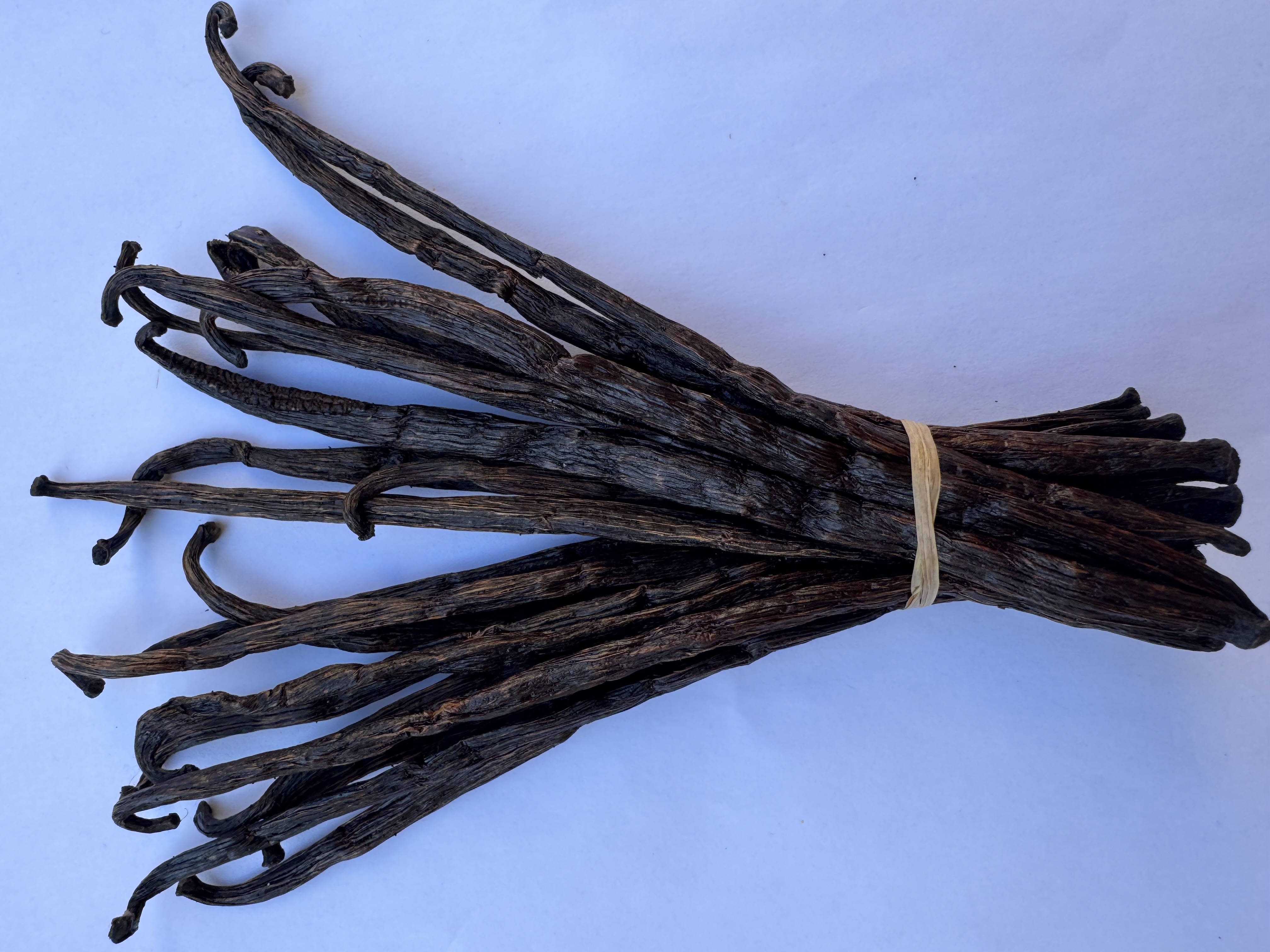 20 gousses de vanille TK 5/8 cm non fendues de Madagascar