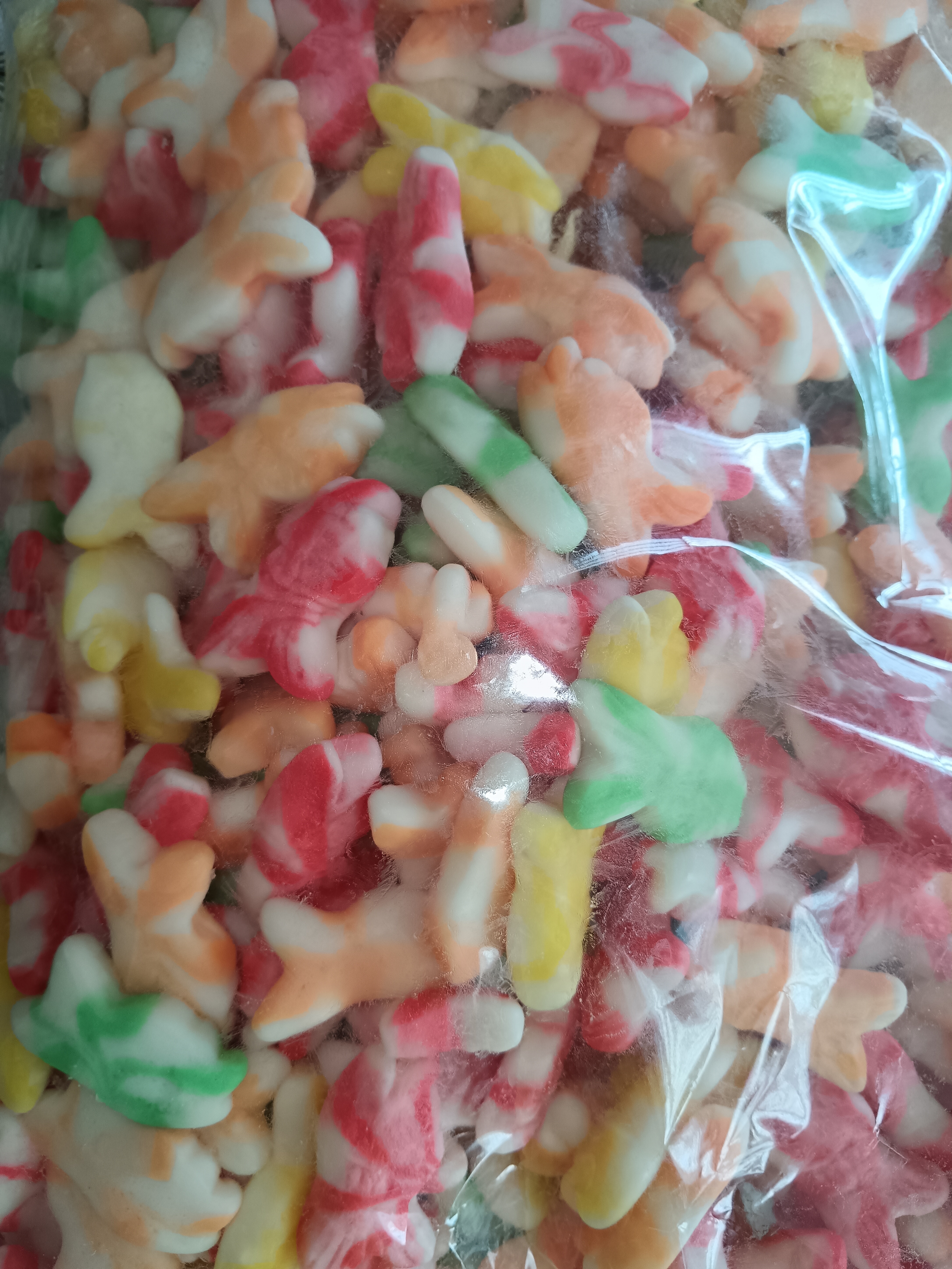 Poissons lisse 100g