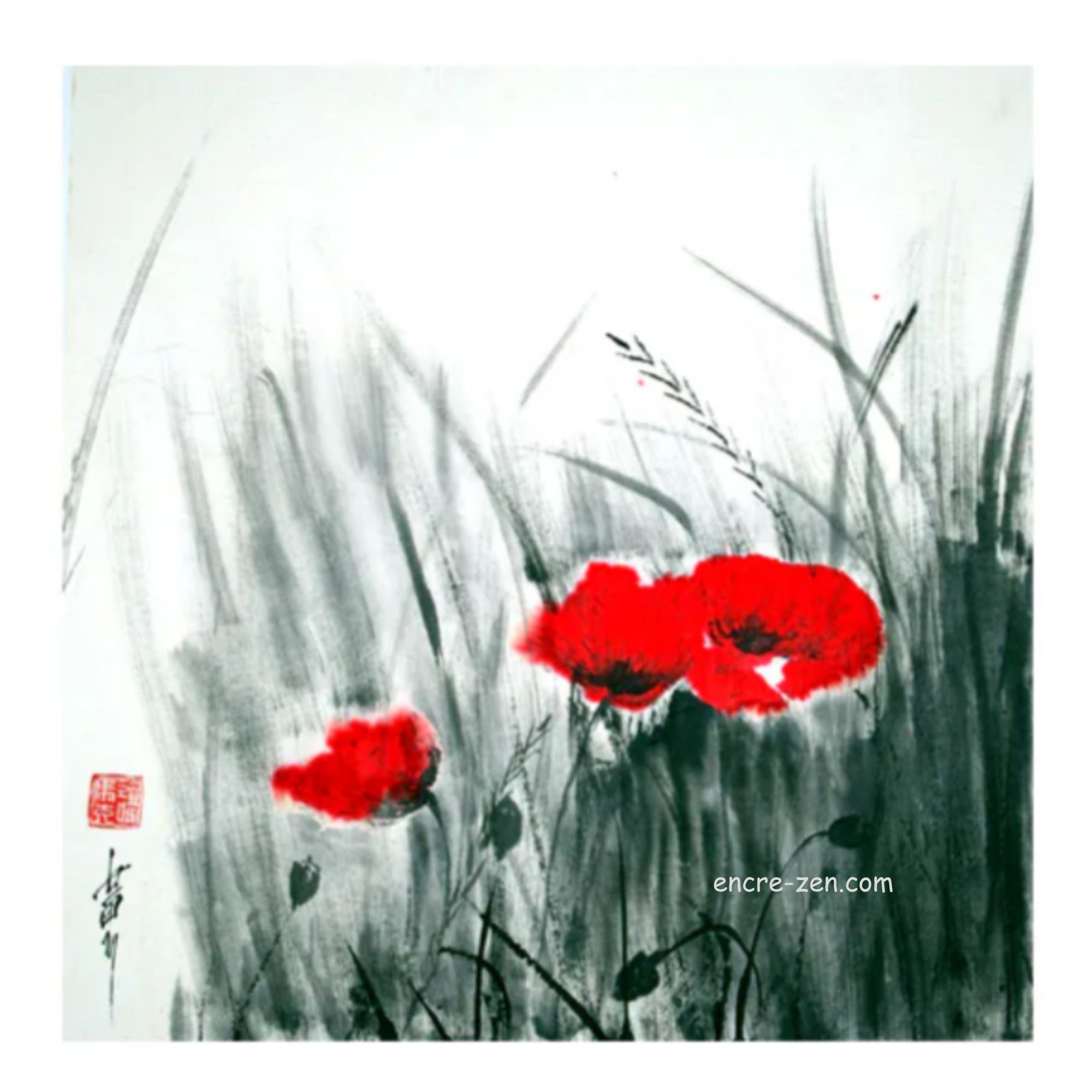 Les coquelicots habitant l'herbe verte