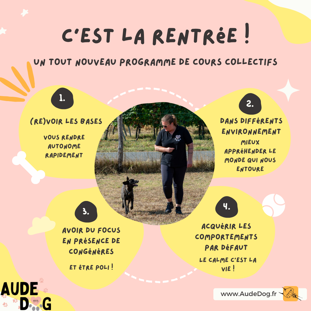 Programme 8 séances