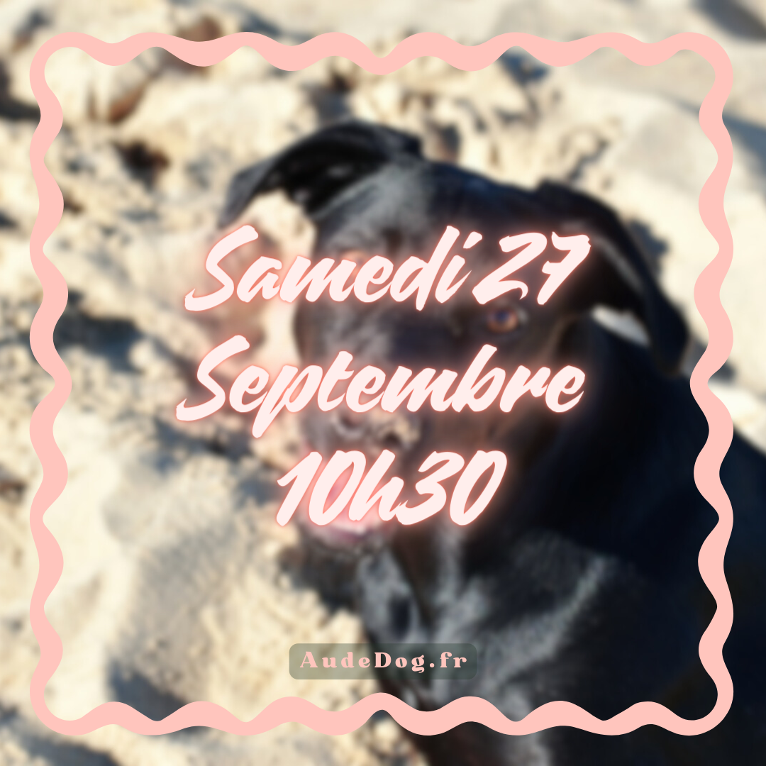 09~ Samedi 27 Septembre 10h30