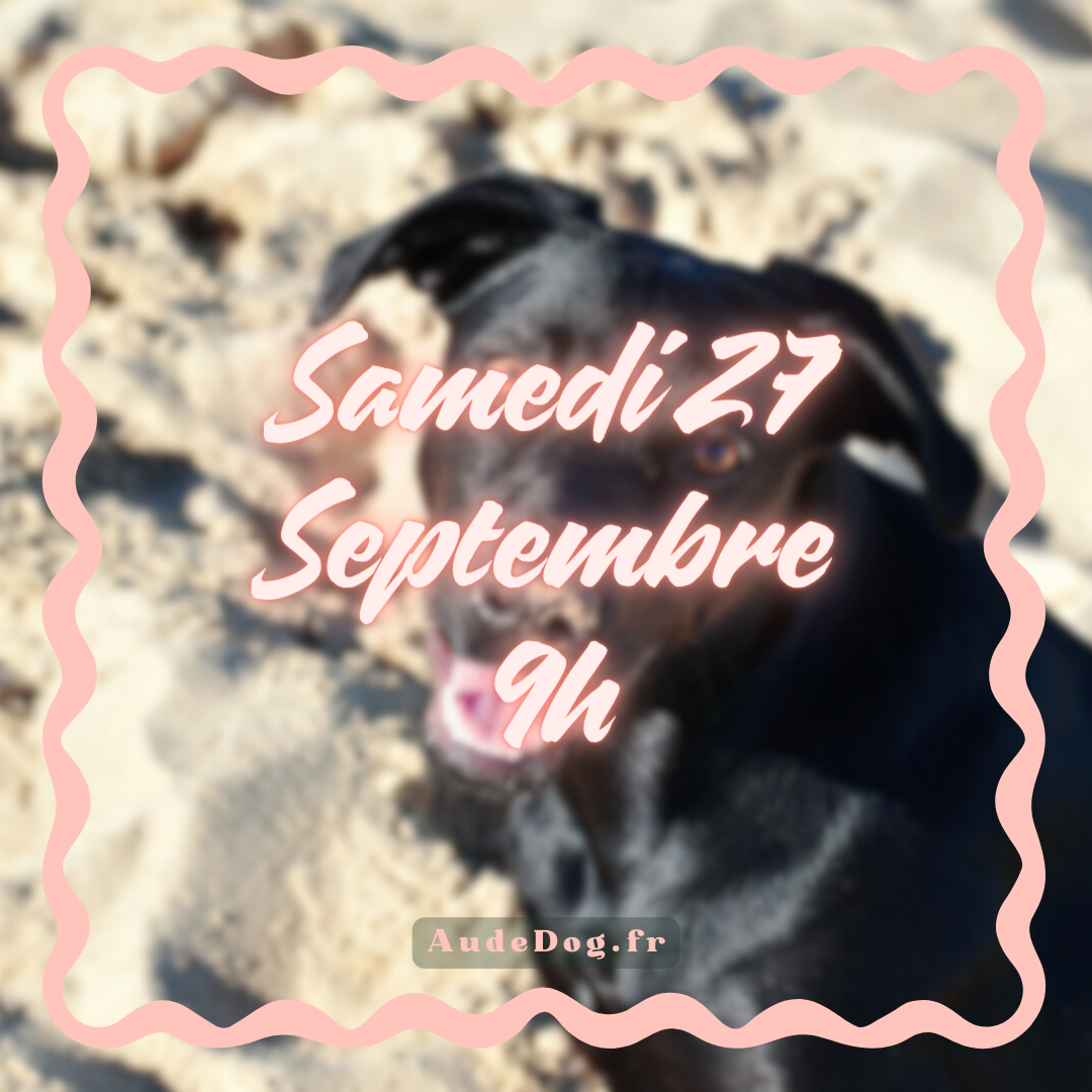 09~ Samedi 27 Septembre 9h