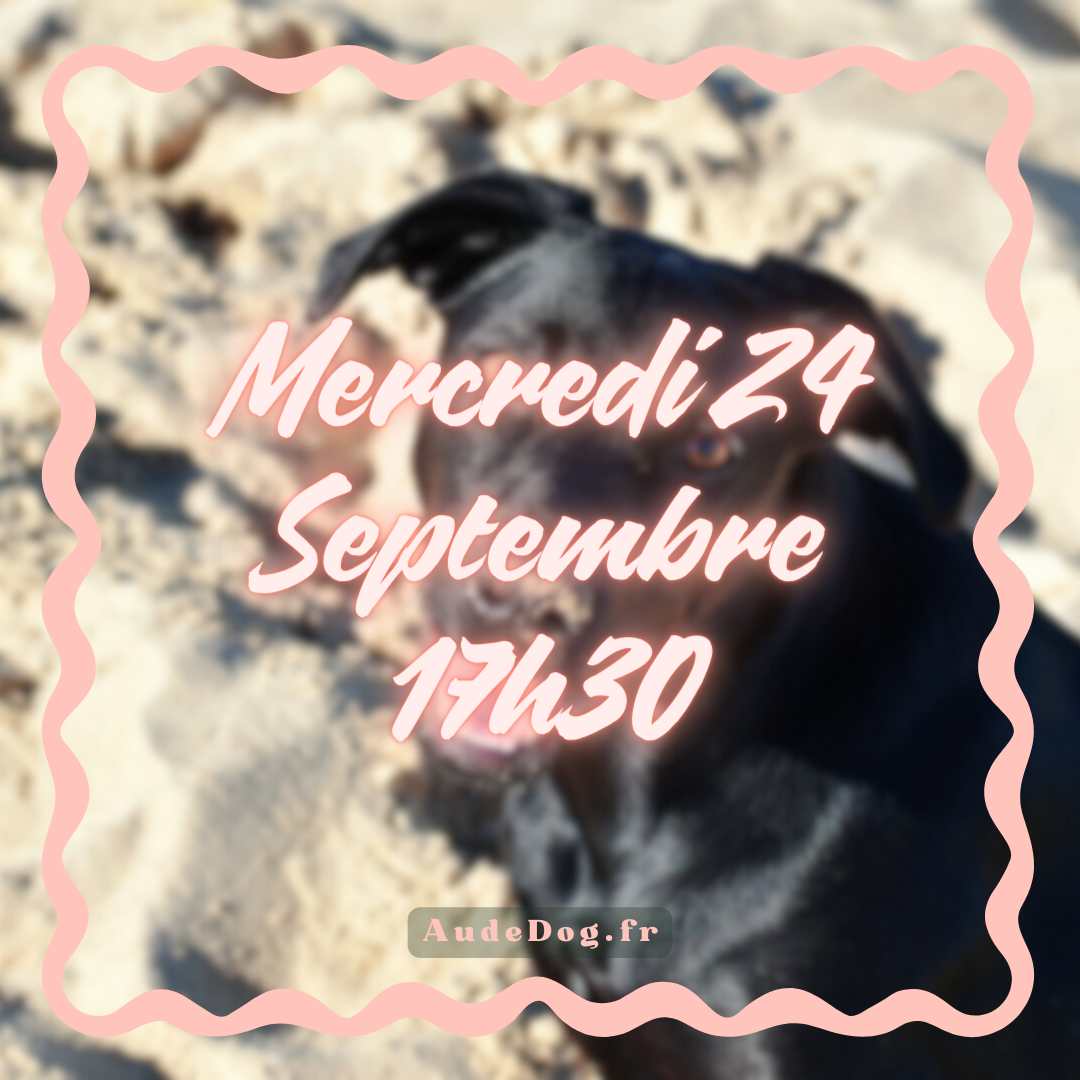 09~ Mercredi 24 Septembre 17h30