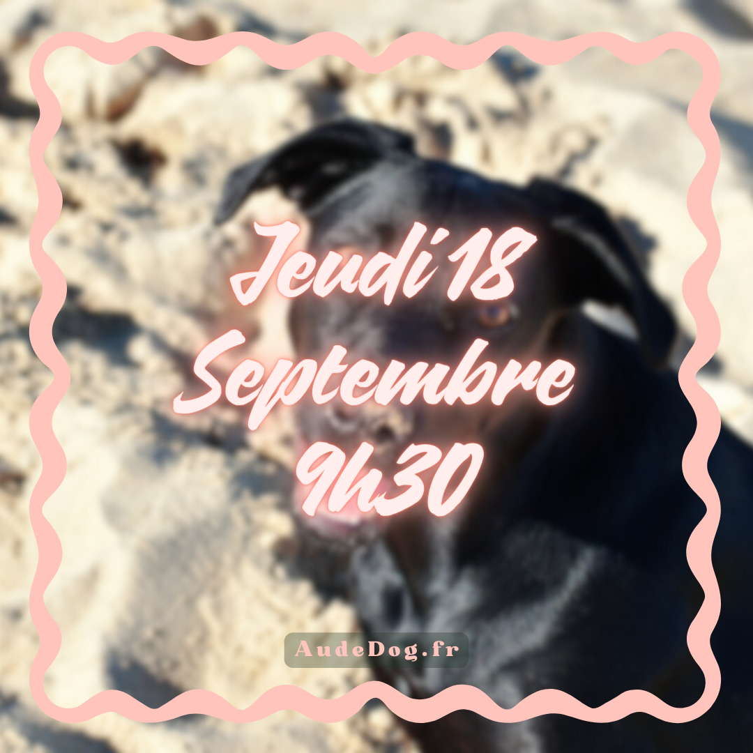 09~ Jeudi 18 Septembre 9h30