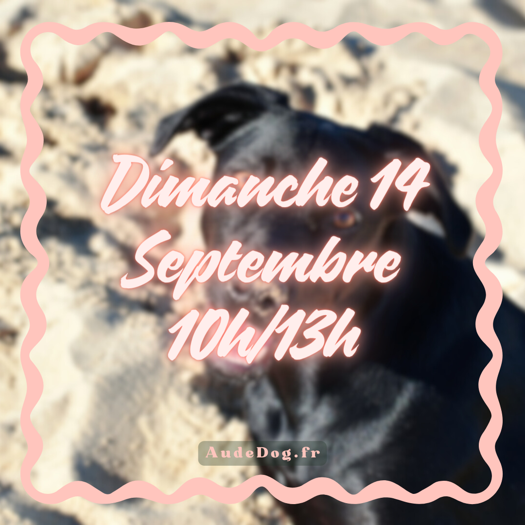 09~ Dimanche 14 Septembre 10h/12h