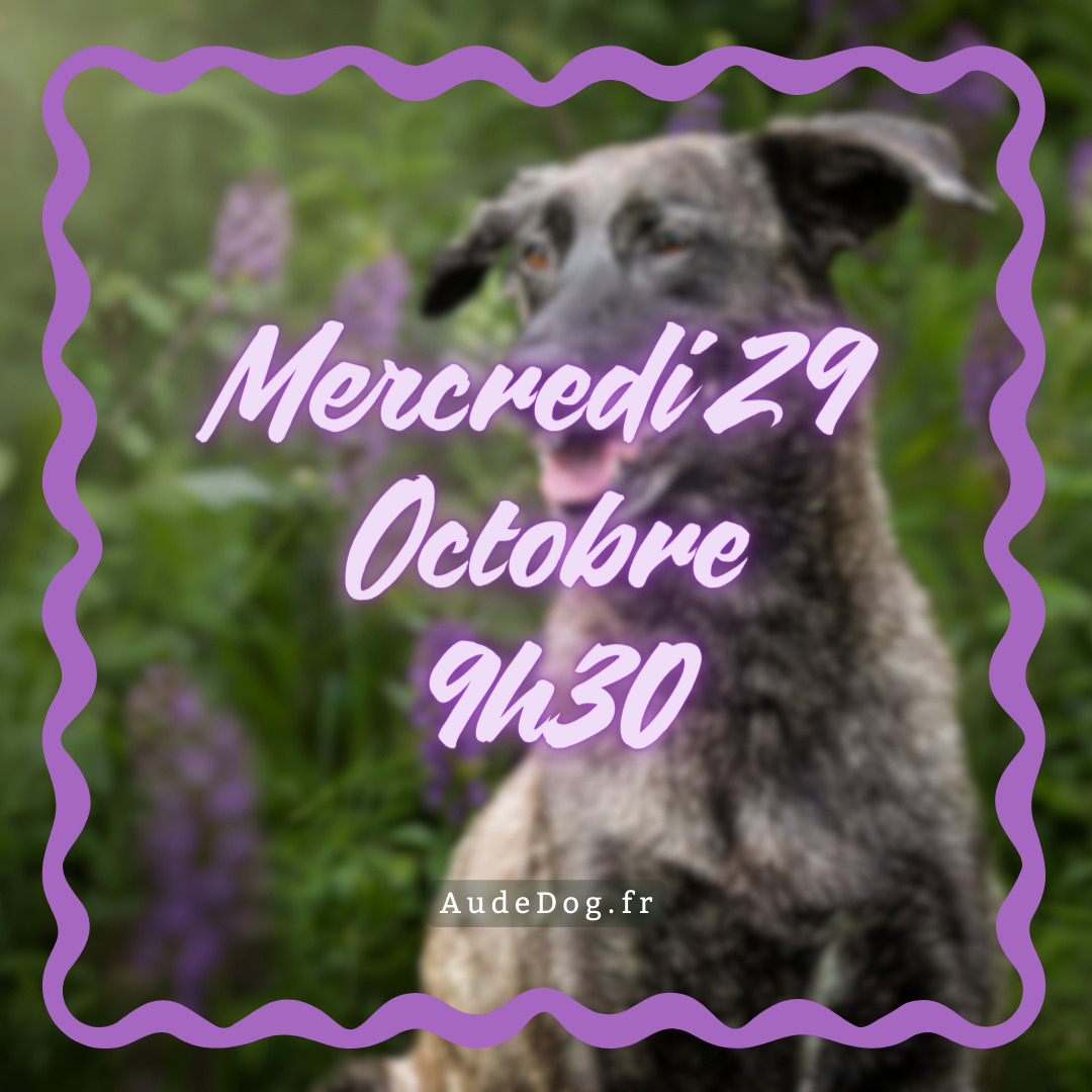 10~ Mercredi 29 Octobre 9h30