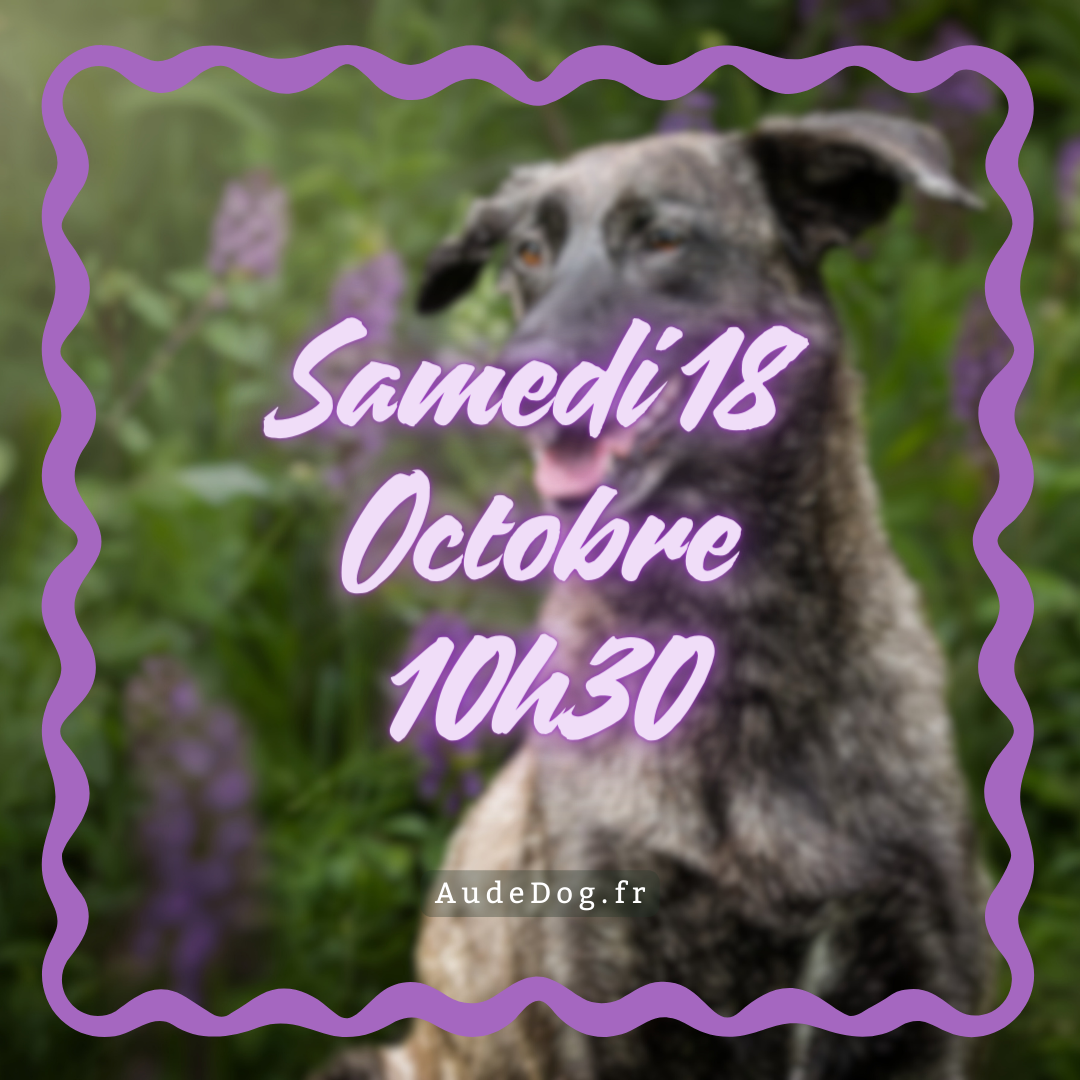 10~ Samedi 18 Octobre 10h30