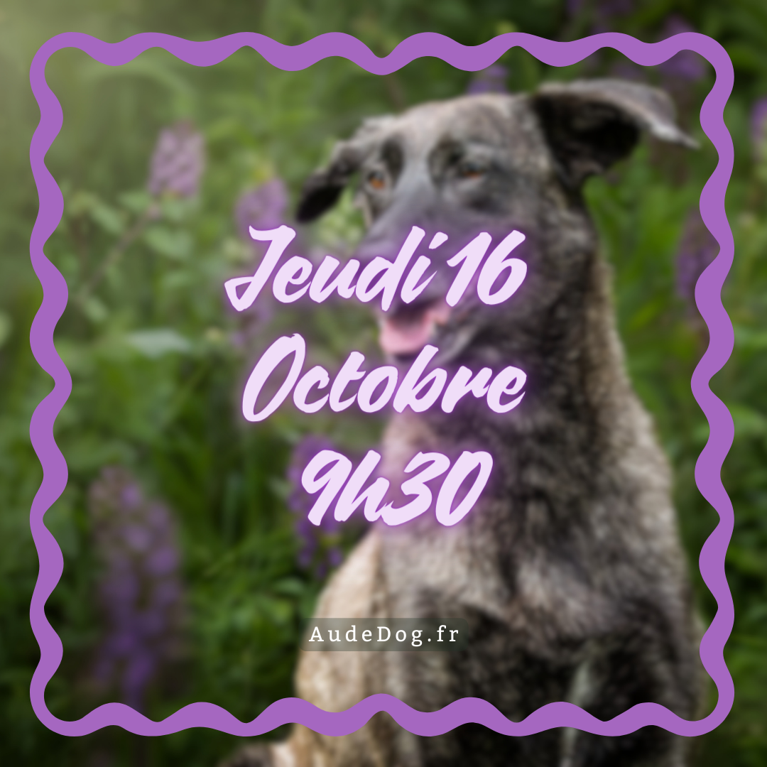 10~ Jeudi 16 Octobre 9h30