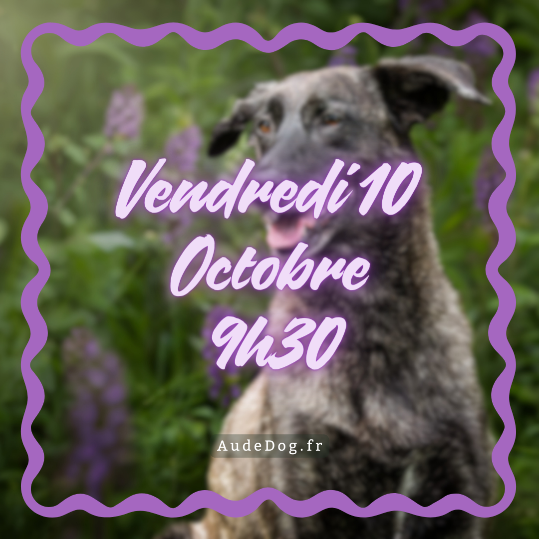 10~ Vendredi 10 Octobre 9h30
