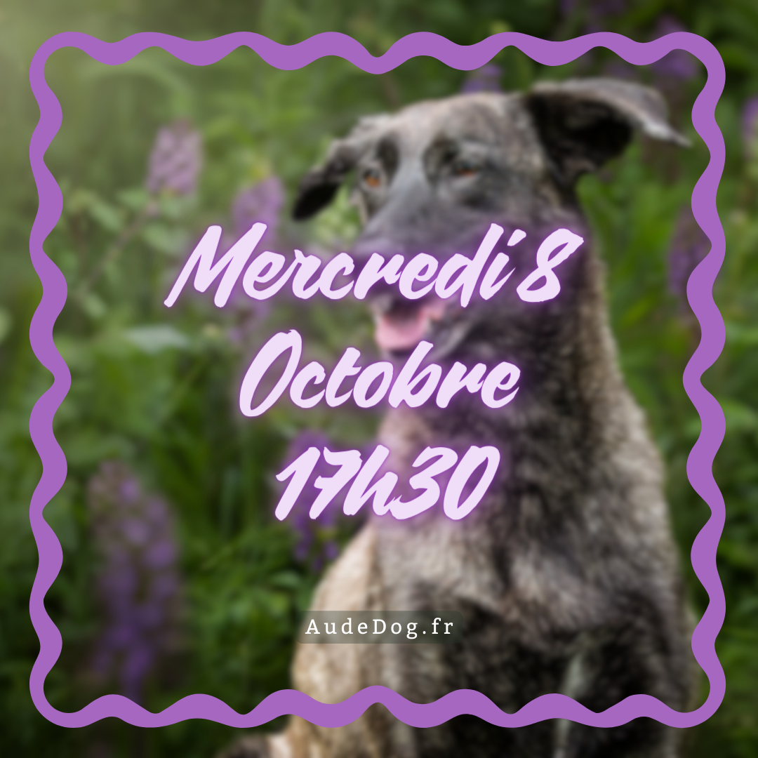 10~ Mercredi 8 Octobre 17h30