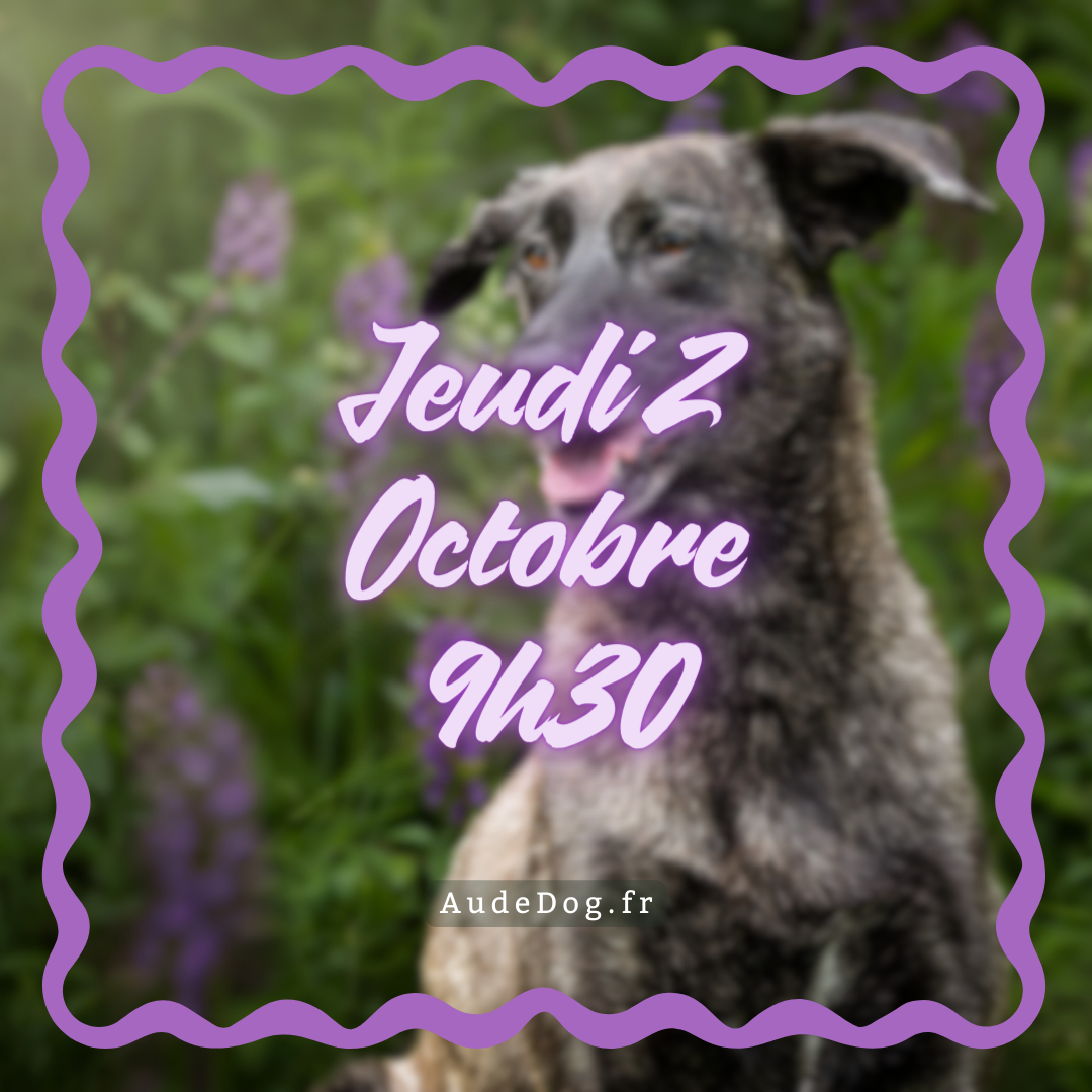10~ Jeudi 2 Octobre 9h30