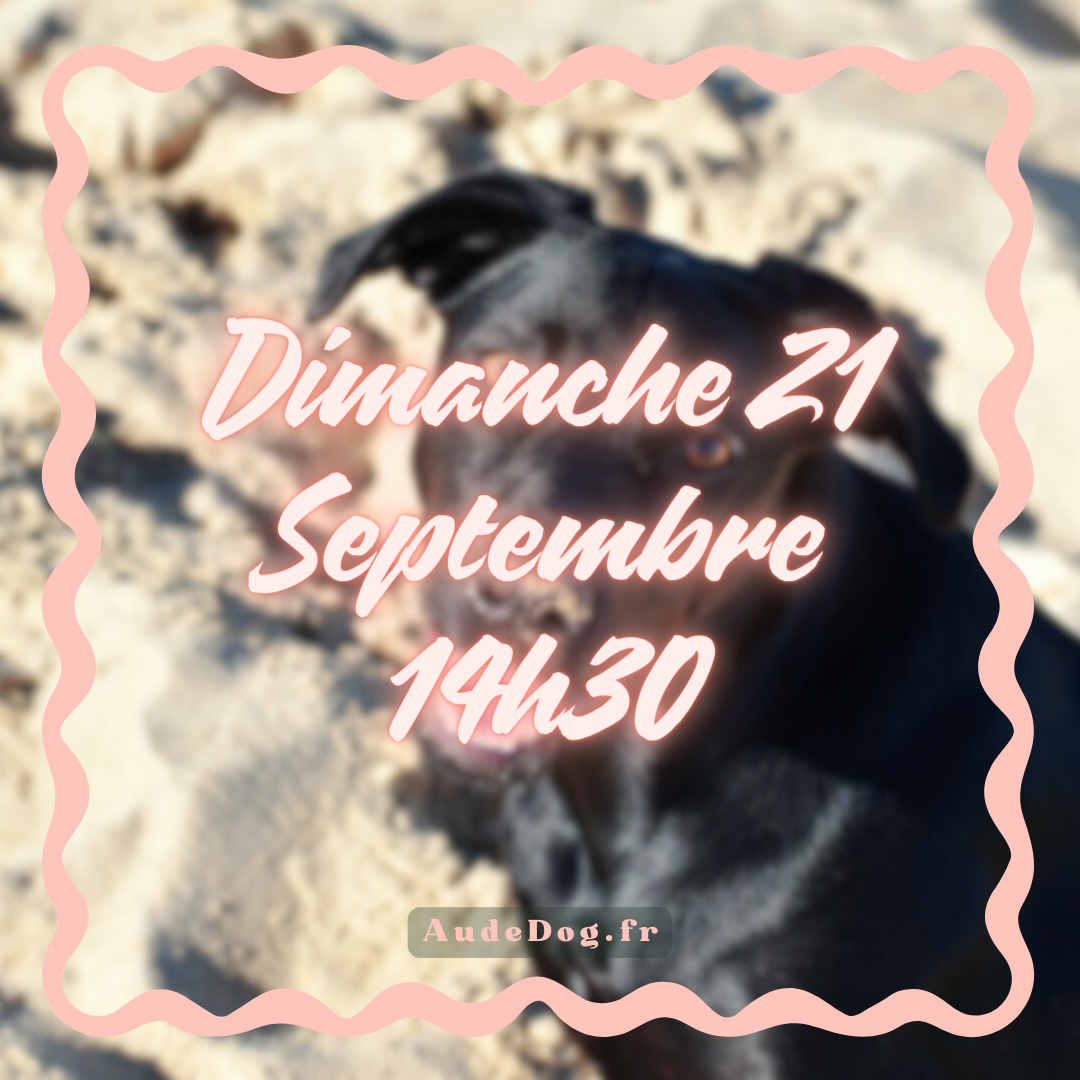 09 ~ Dimanche 21 Septembre 14h30