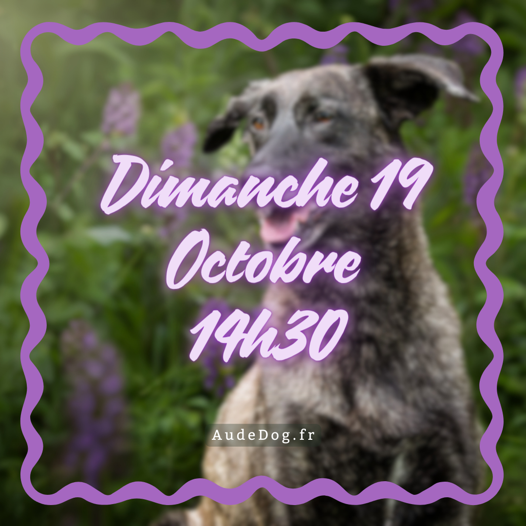 10 ~ Dimanche 19 Octobre 14h30 