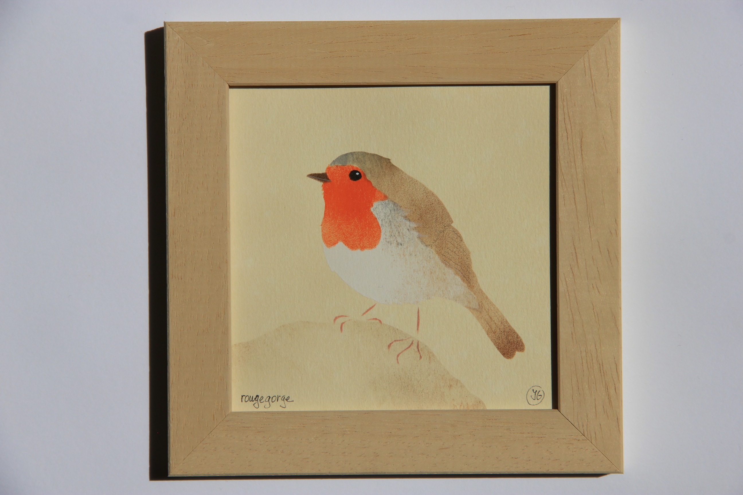 rouge gorge familier
