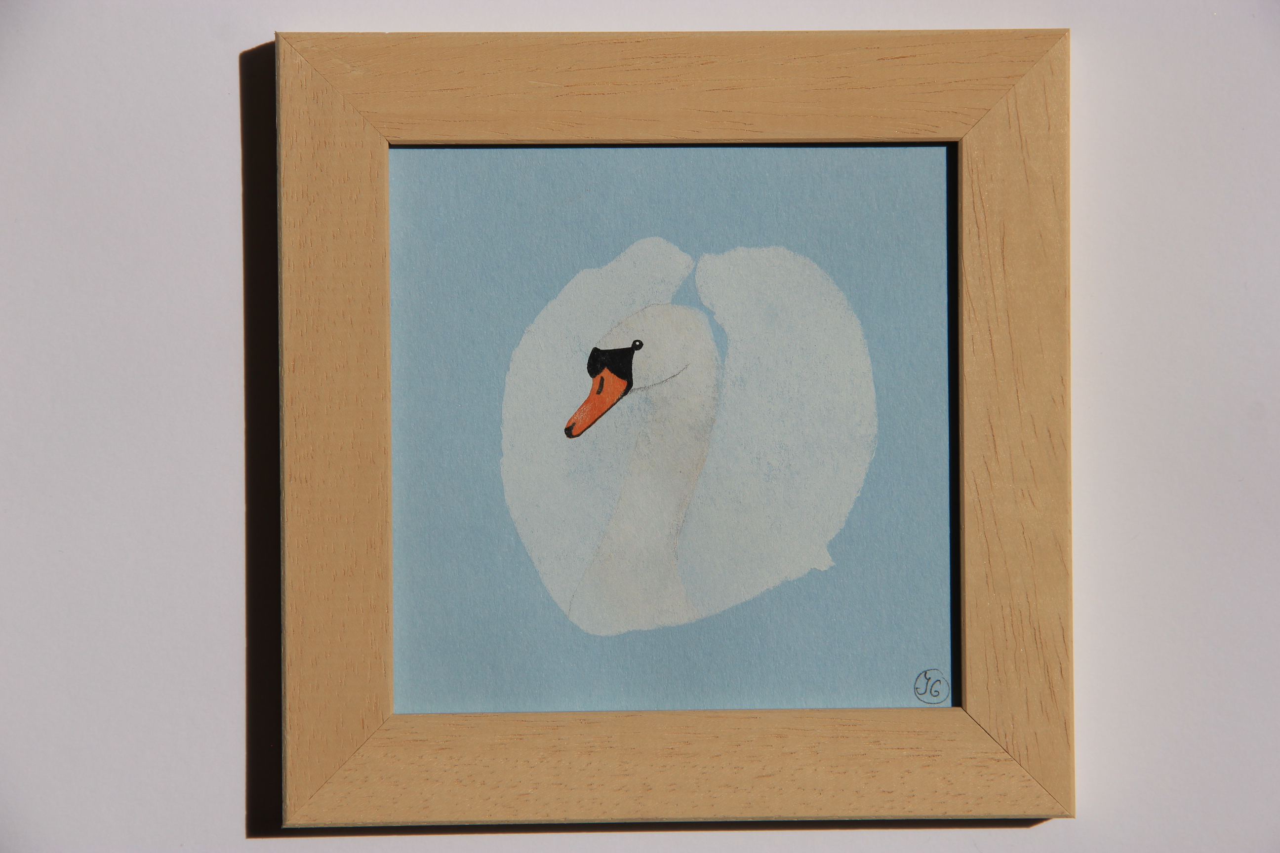 Cygne