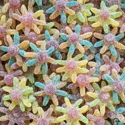 octopus pieuvre en vrac 100 g