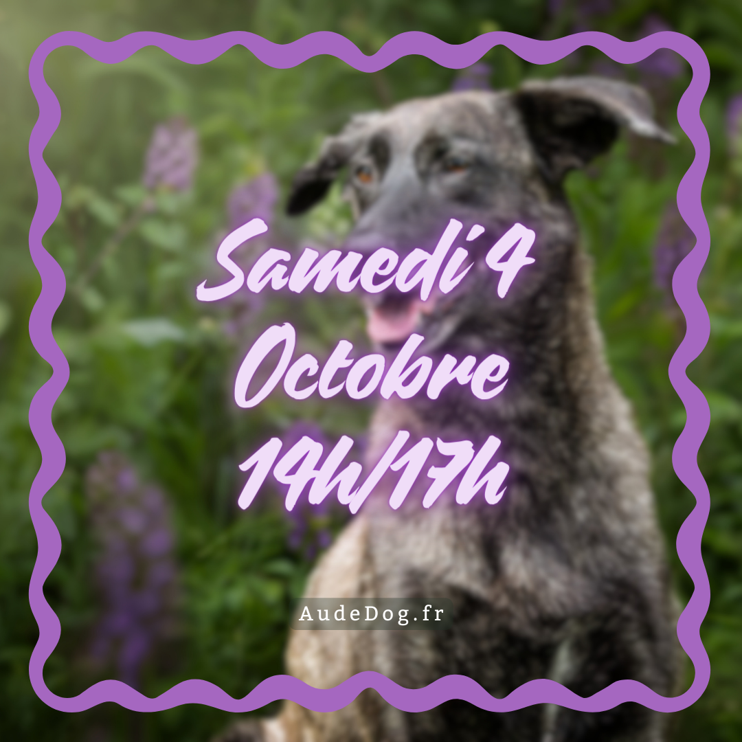 Samedi 4 Octobre 14h/17h