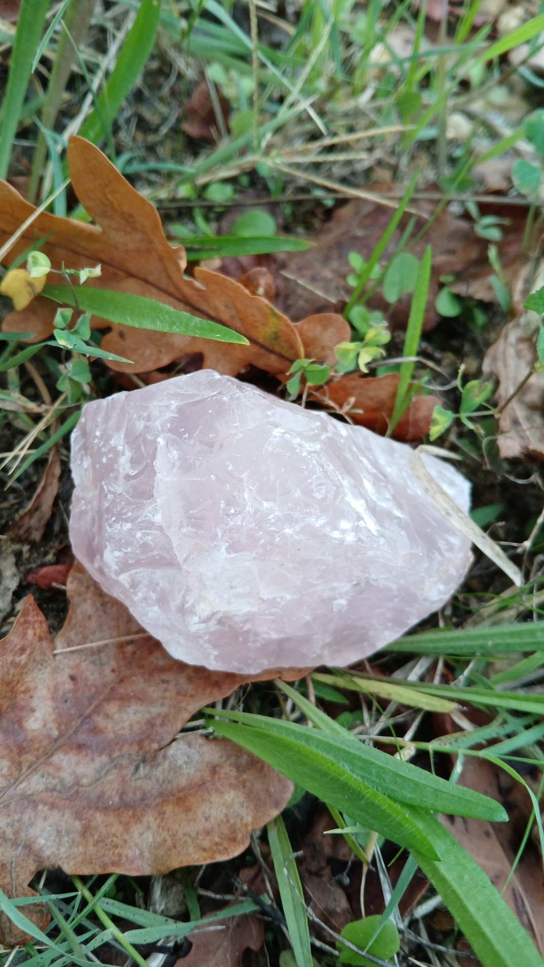 quartz rose brute 
