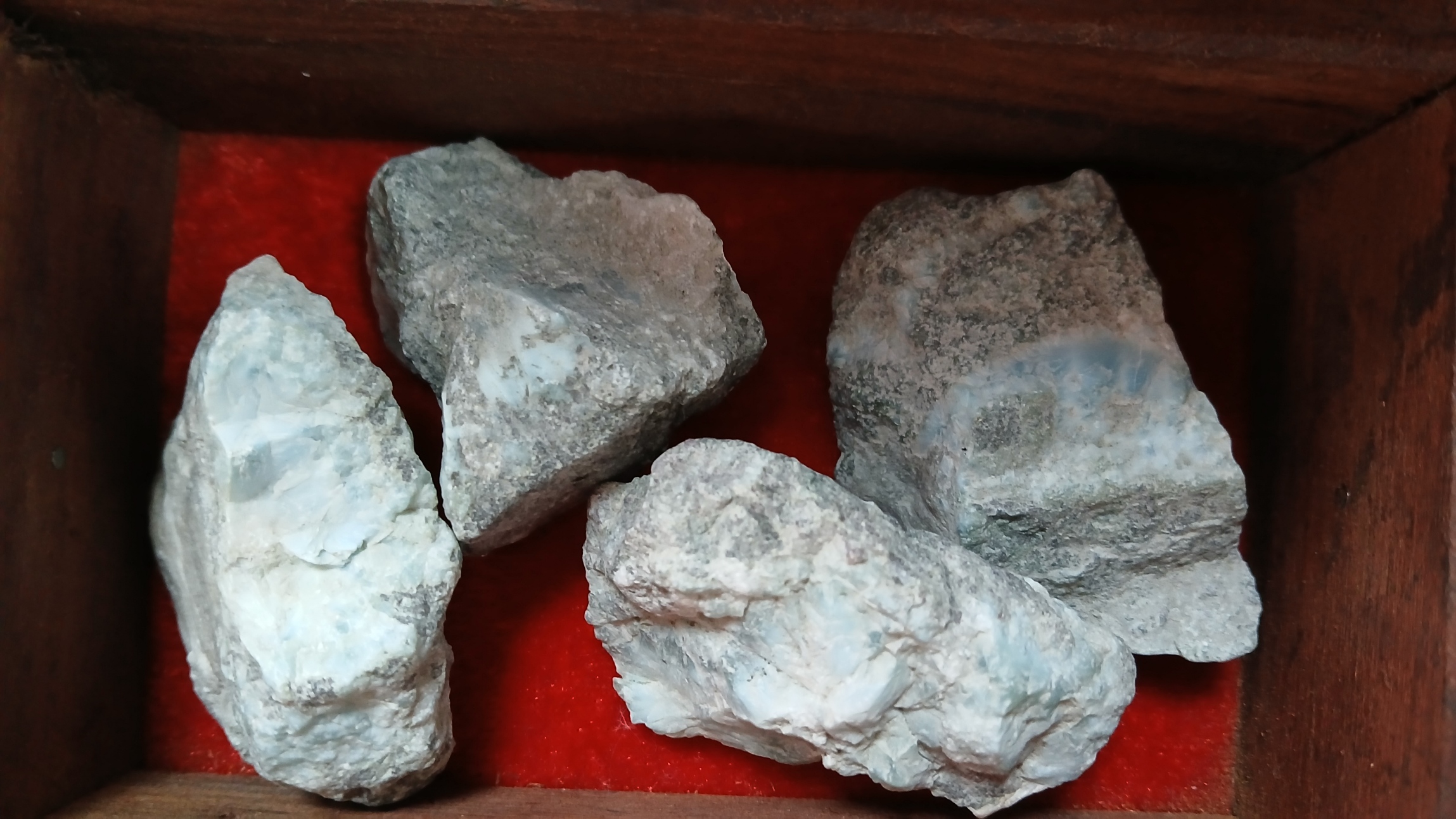 larimar brute