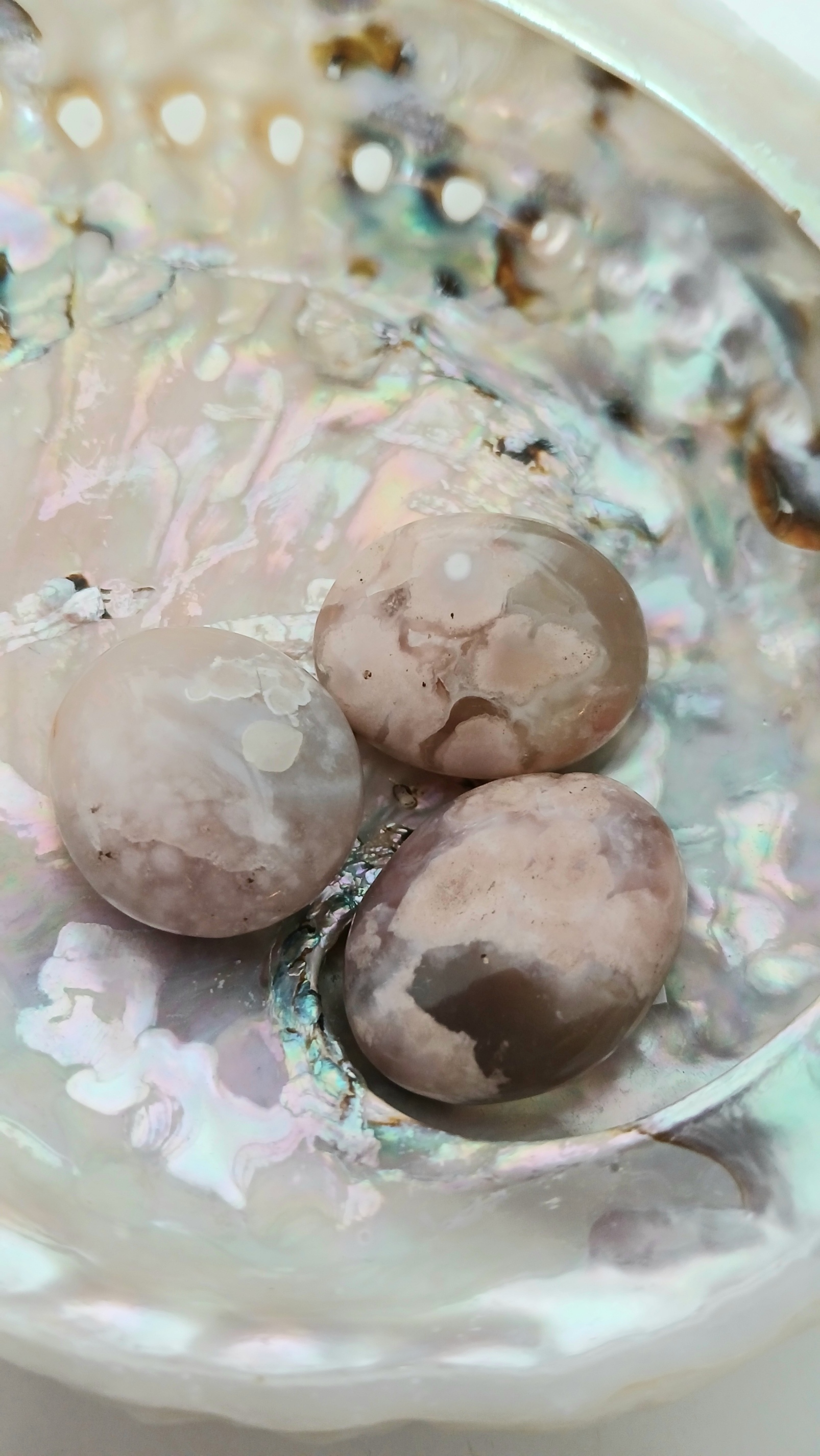 Agate fleur de cerisier 