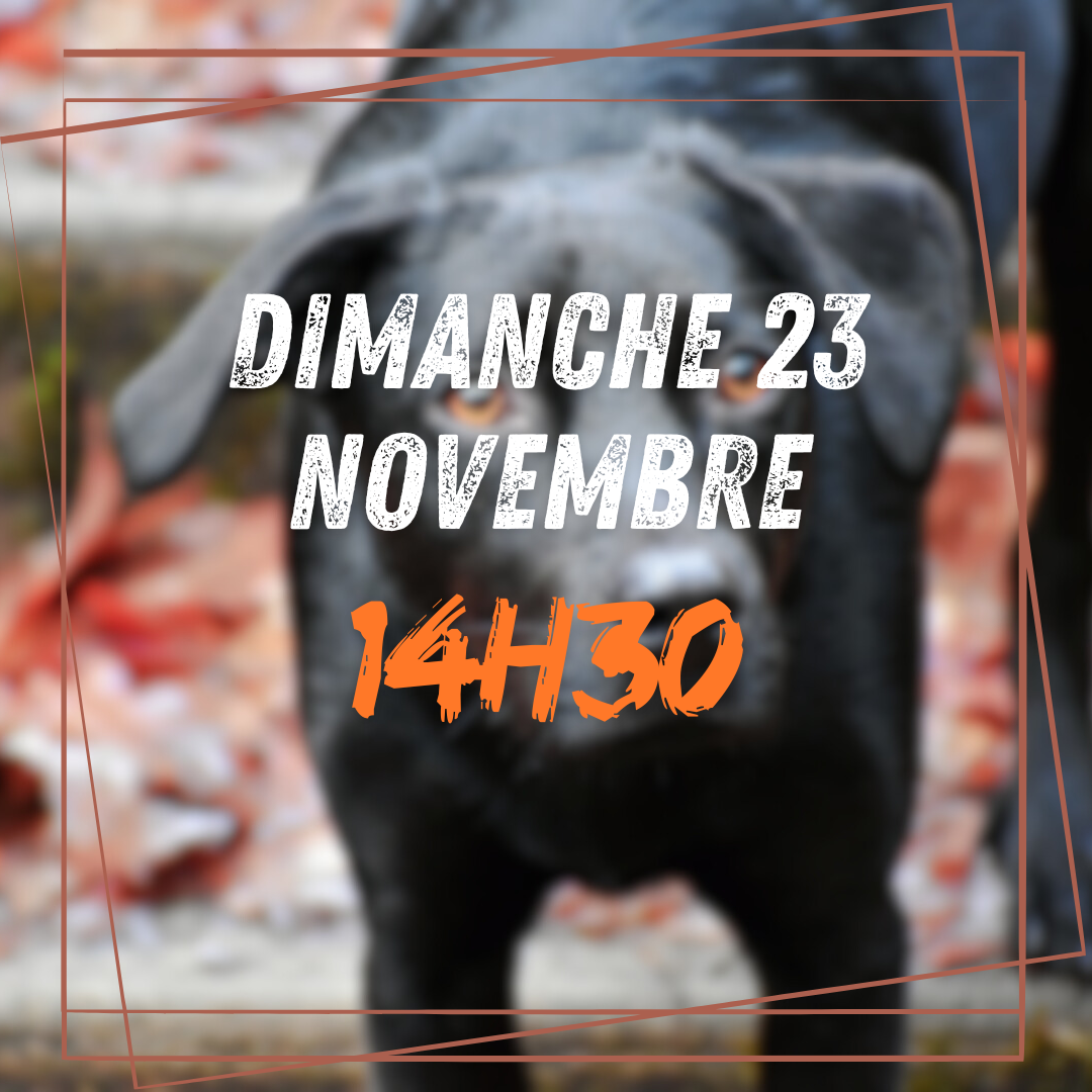 11 ~ Dimanche 23 Novembre 14h30