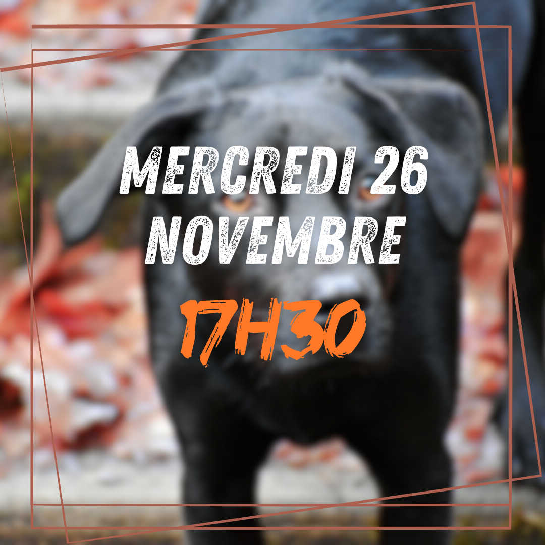 11~ Mercredi 26 Novembre 17h30