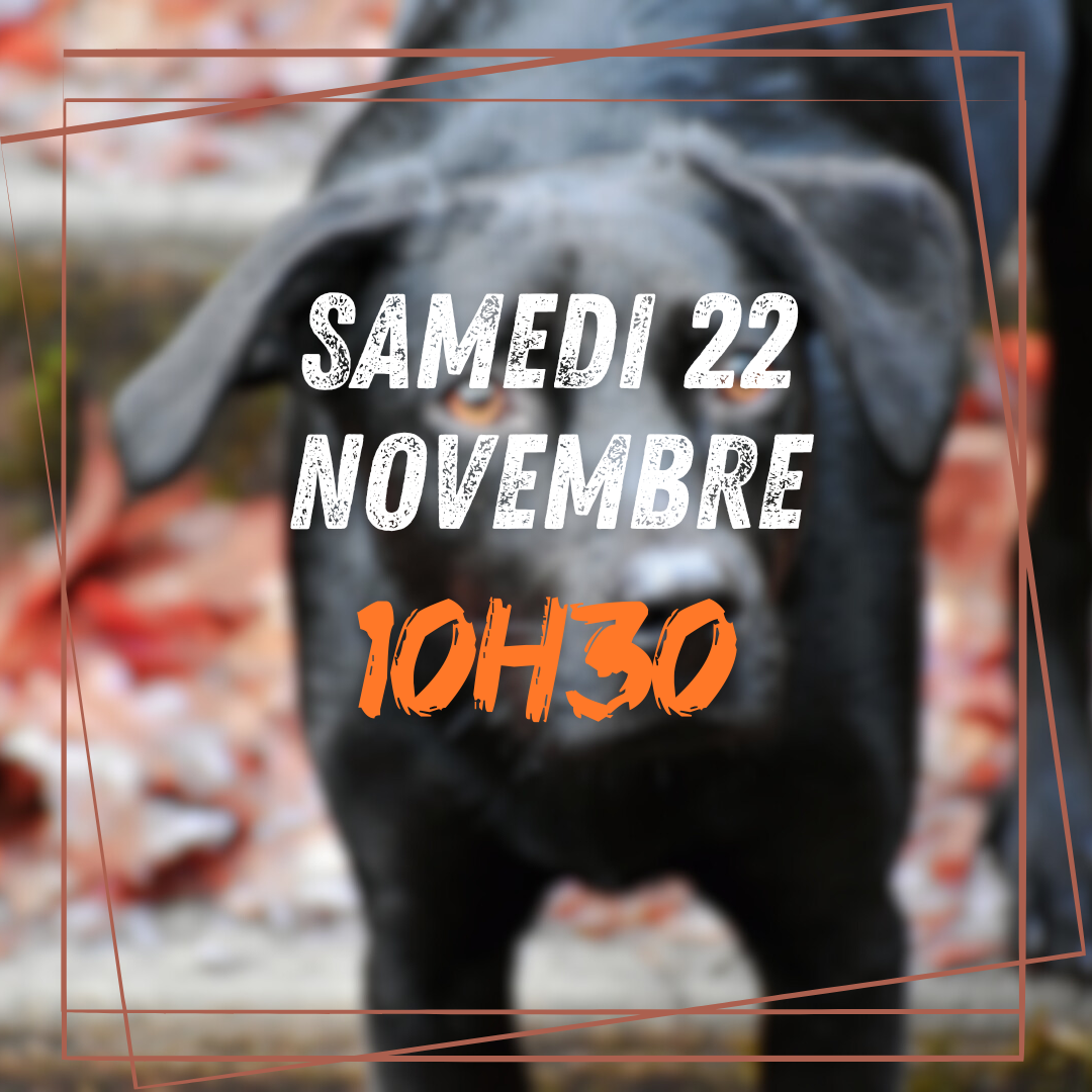 11~ Samedi 22 Novembre 10h30