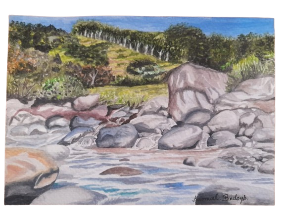 Aquarelles - Samuel Bedoya