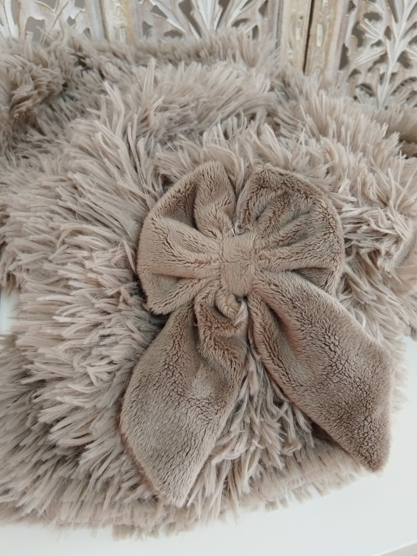 Couverture La Danse des Saisons - Mocca