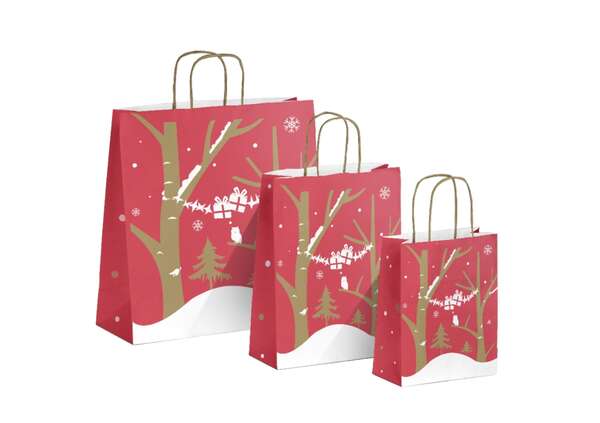 50 Sacs kraft motifs rouge 18+8x22