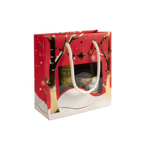 12 sacs fenêtre motifs noel 22+11x28cm