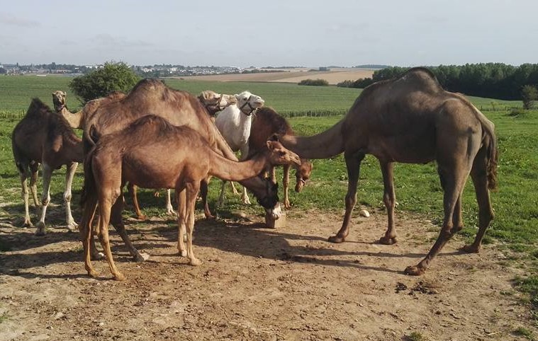 Visite du Domaine