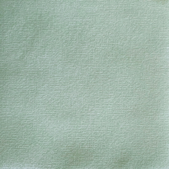 20 serviettes 40/40 Vert de gris