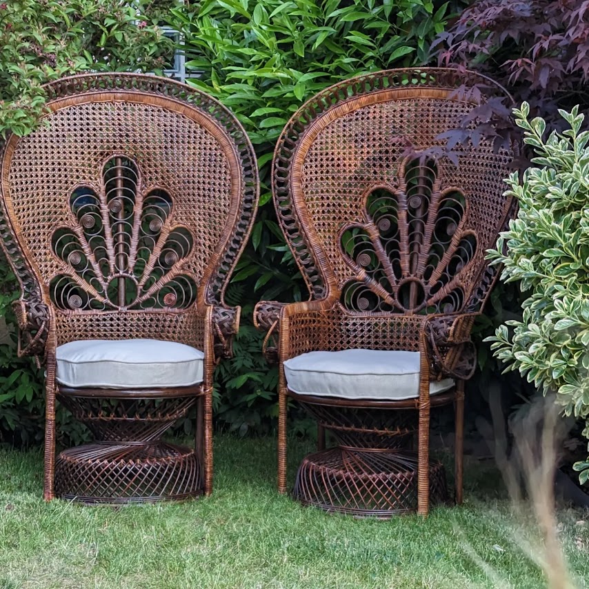 La paire de fauteuils Emmanuelle