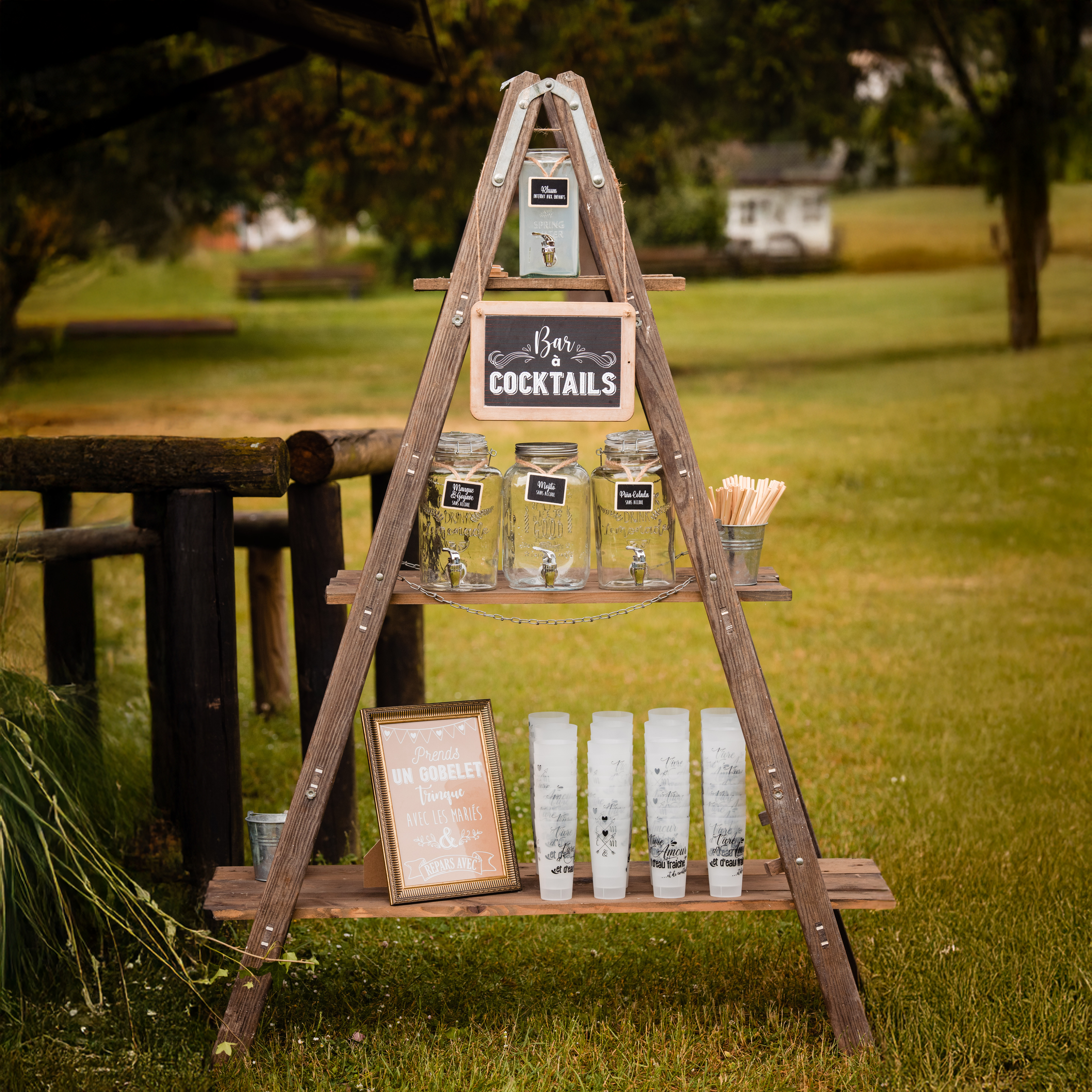 Échelle de peintre + étagère