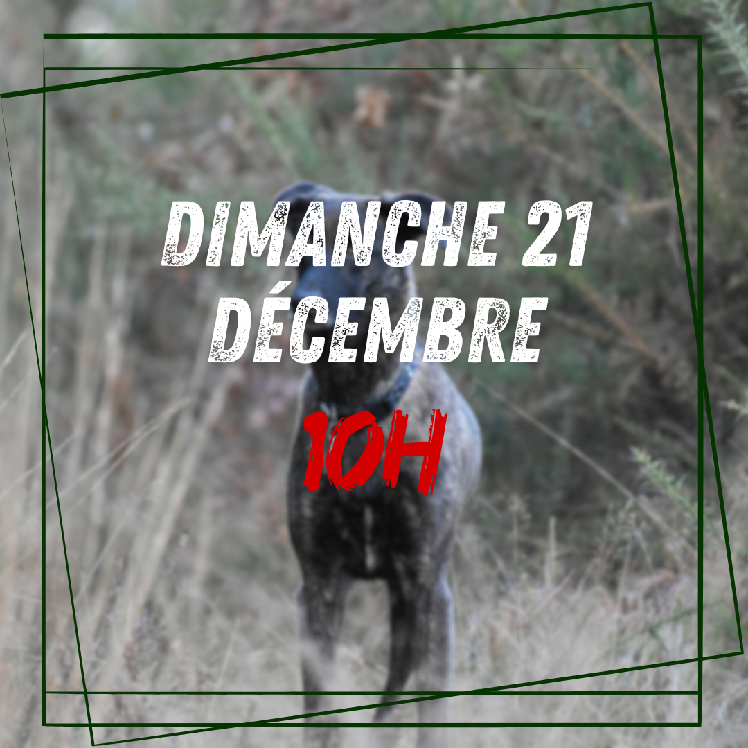 12 ~ Dimanche 21 Décembre 10h