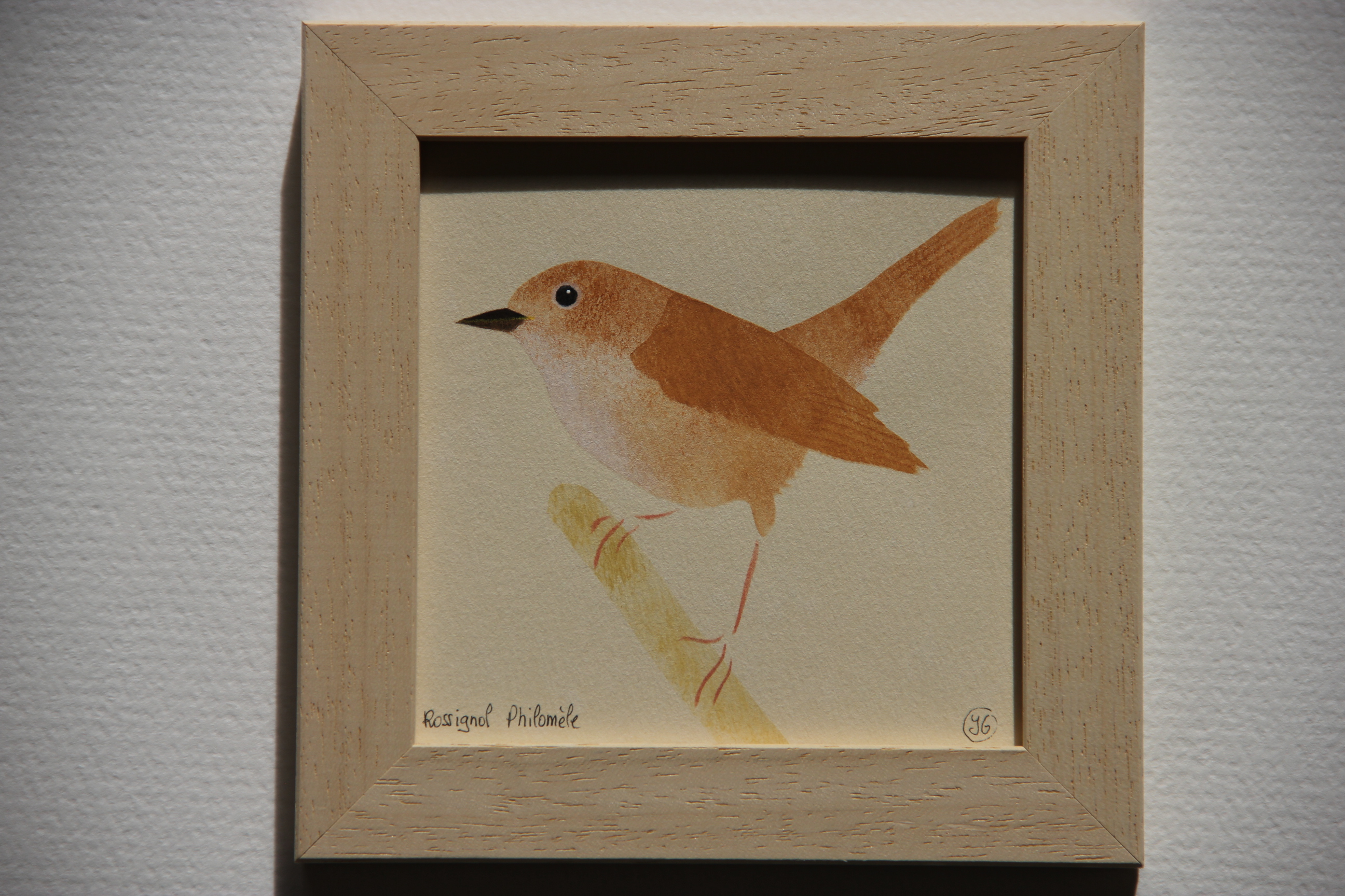 rossignol Philomèle