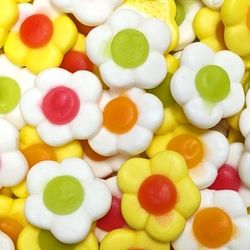 jake marguerite daisies 100g