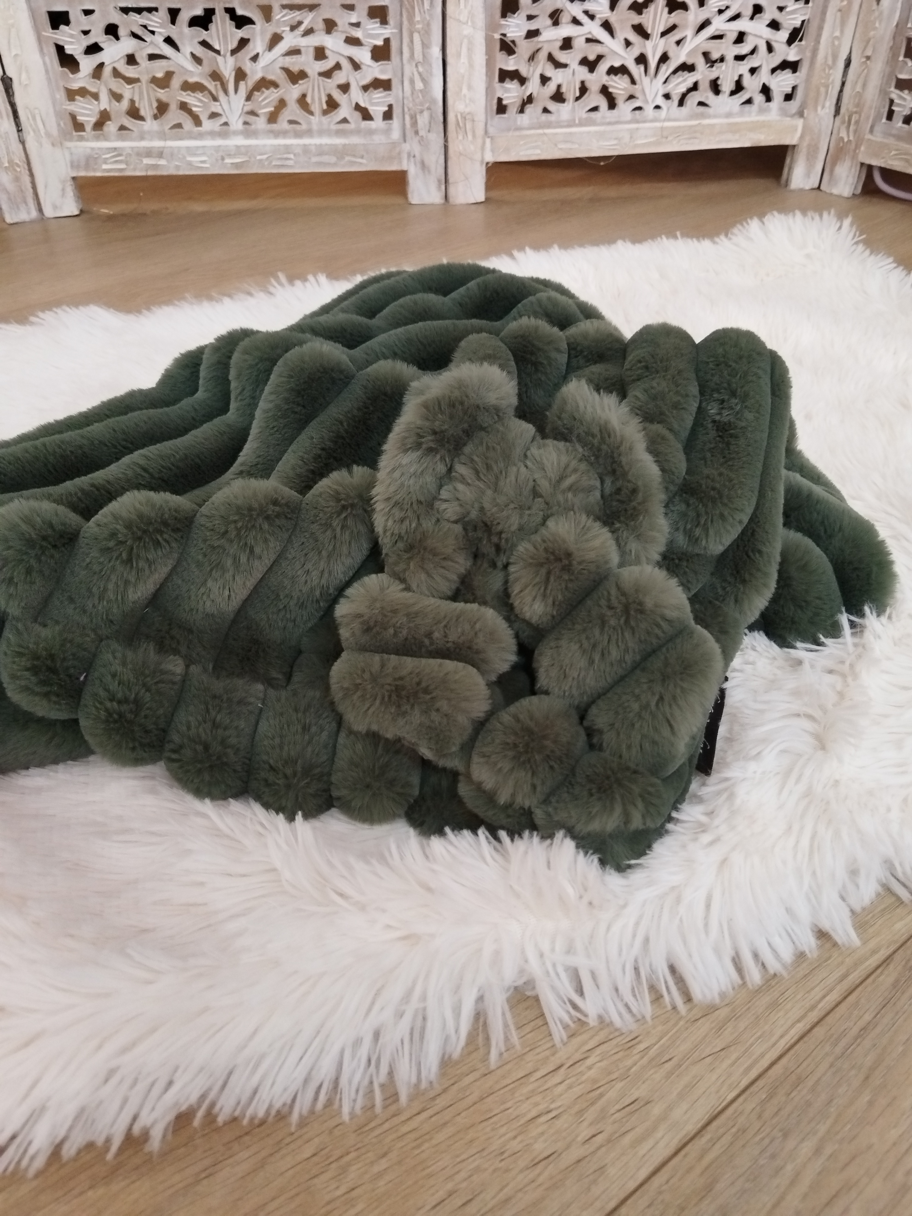 Couverture Éclat de Lune – Éclat d’Émeraude