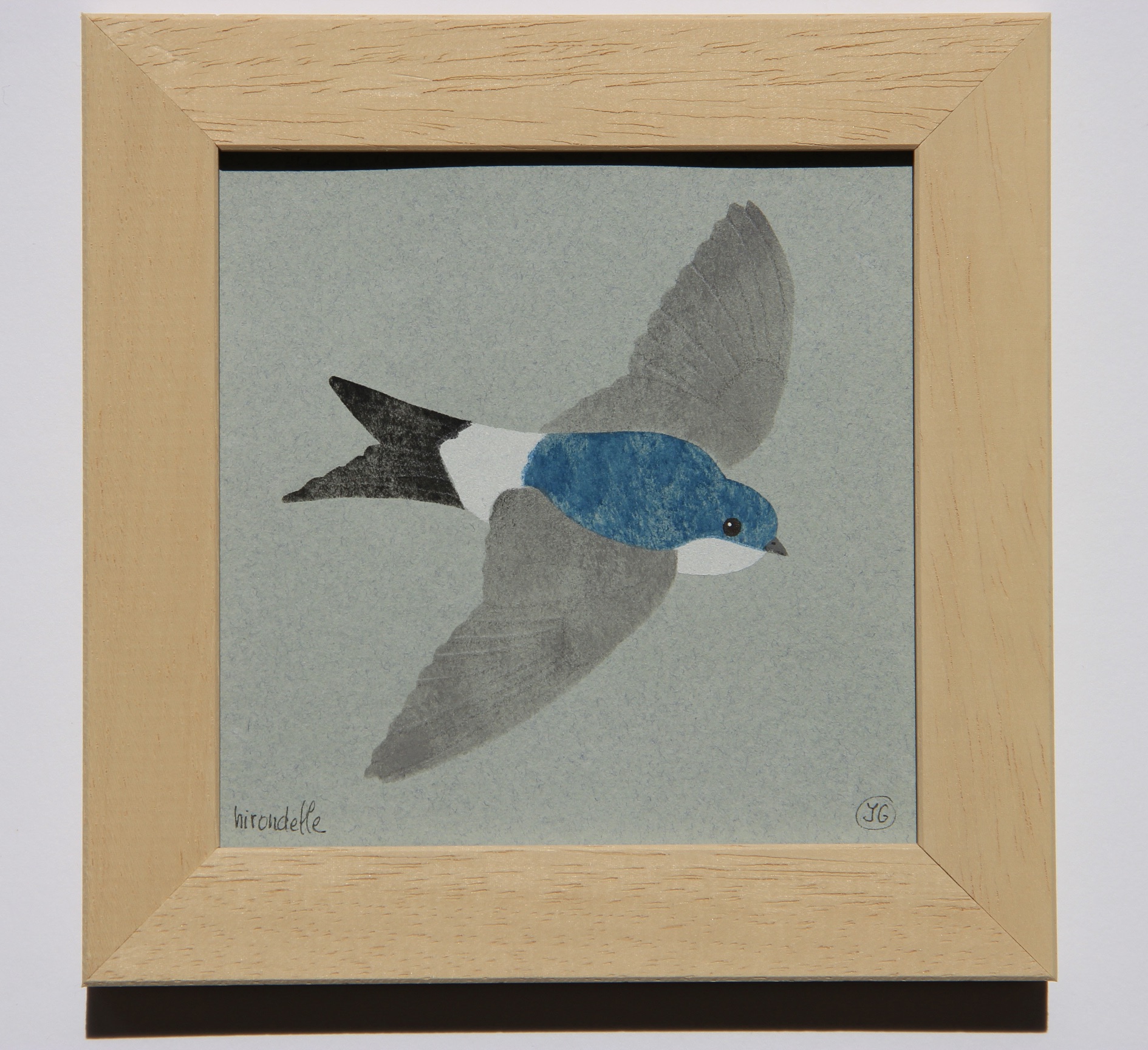 Hirondelle de fenêtre