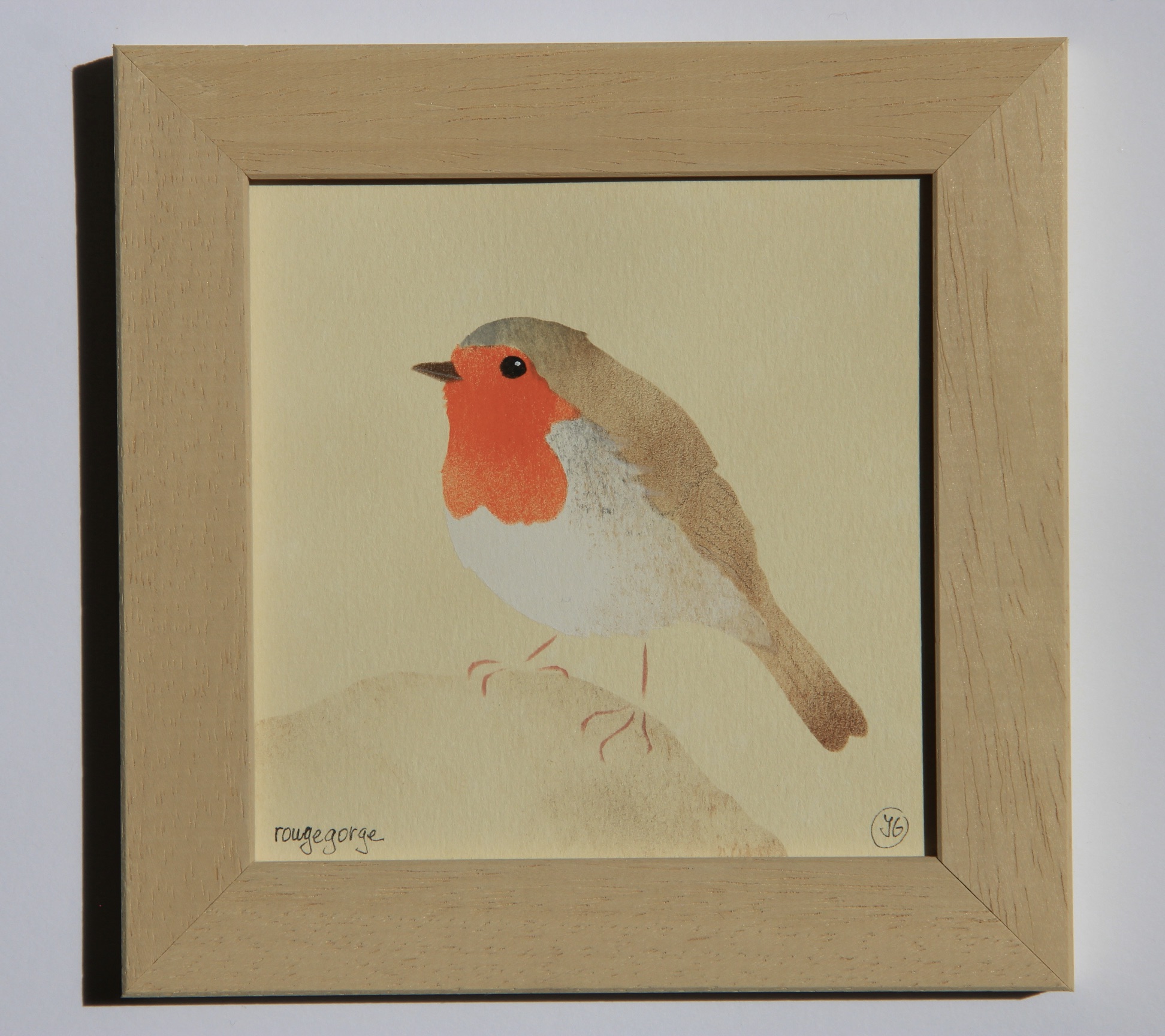 rouge gorge familier