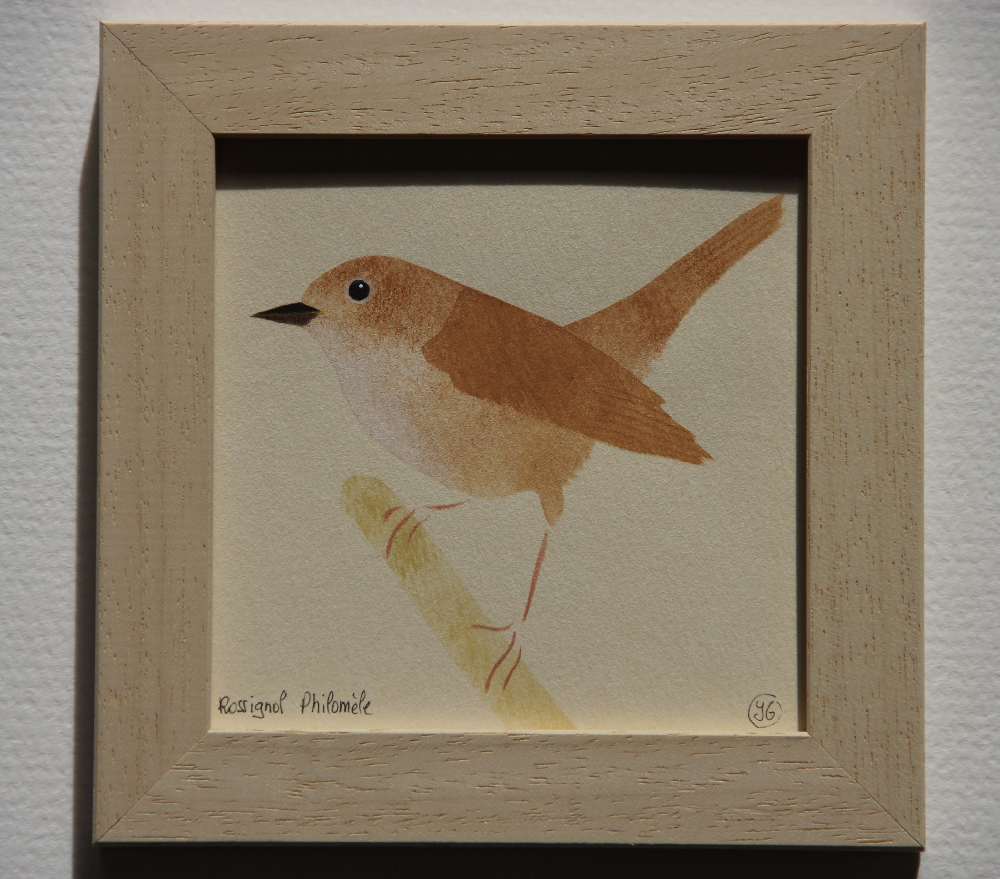 rossignol Philomèle