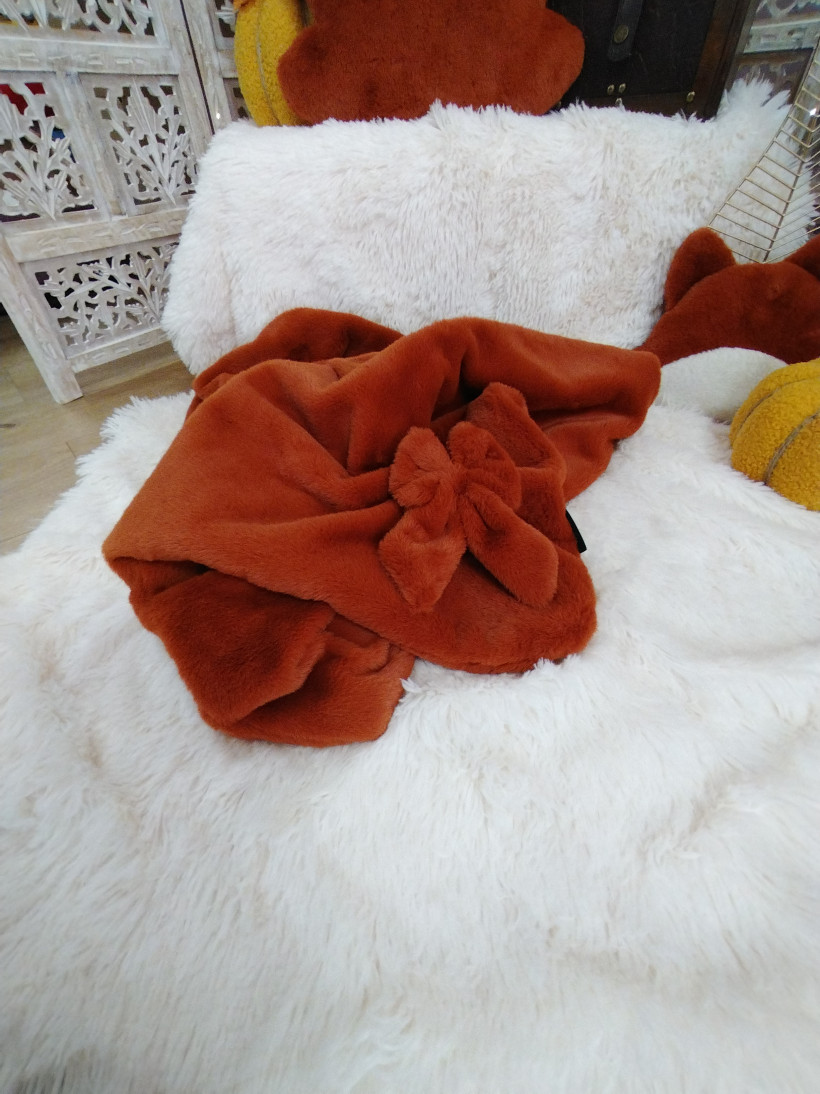 Couverture Ambroise - Roux Renard