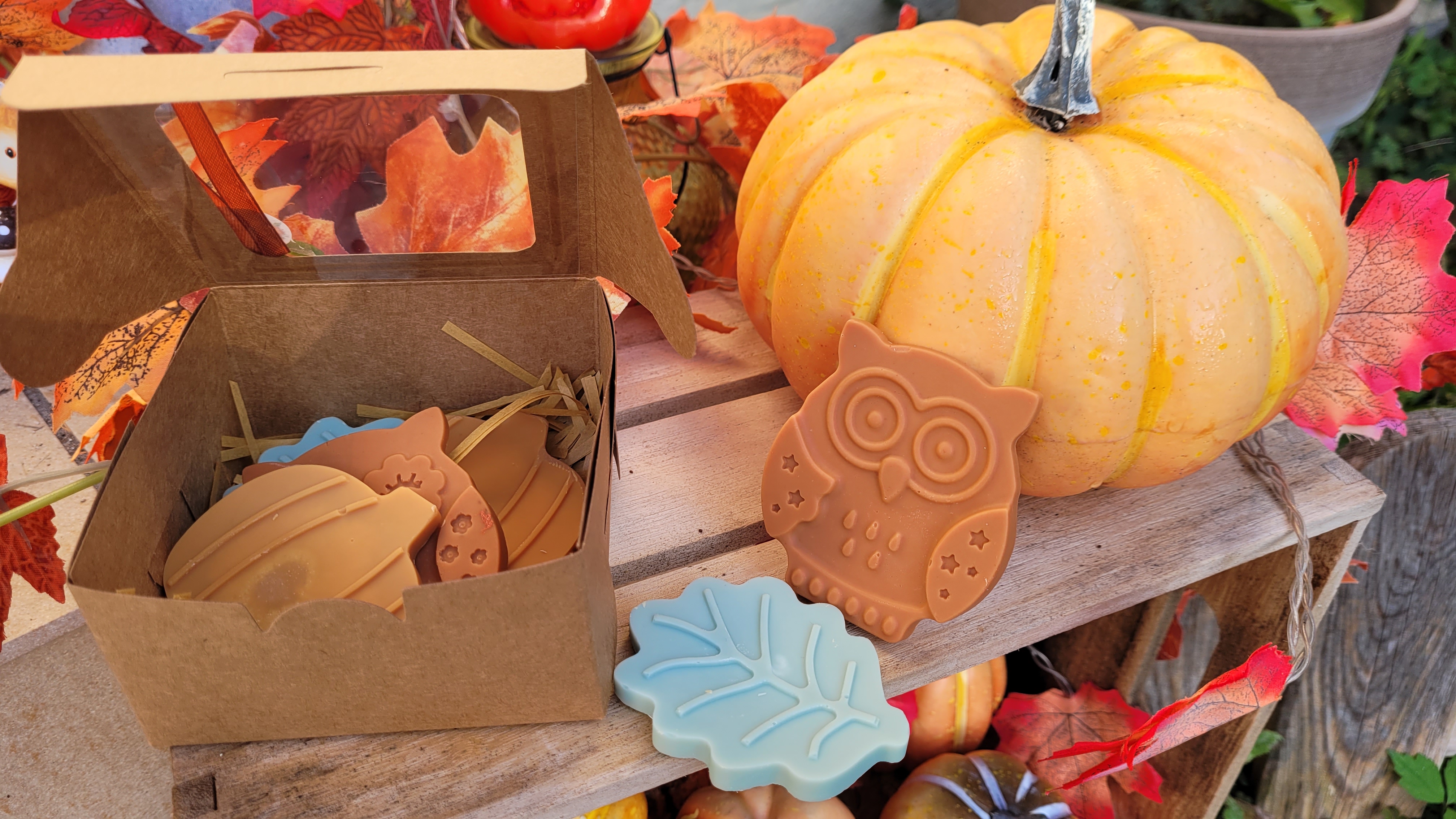 Fondants aux couleurs de l'automne