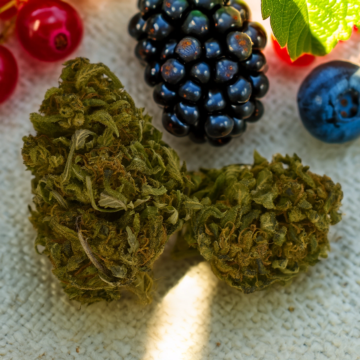 Fleur de CBD Chemberry Haze